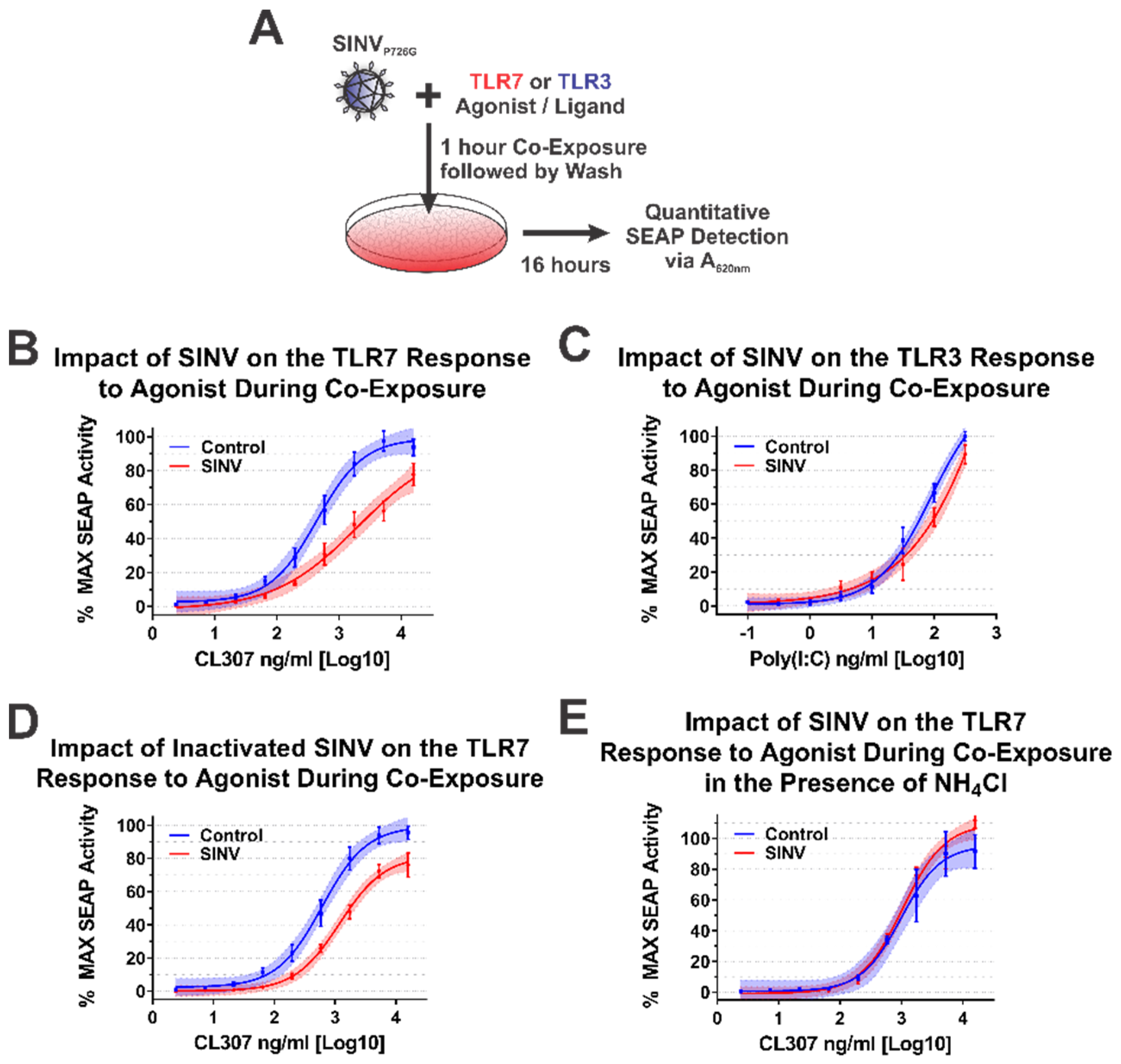 Viruses 13 00377 g007