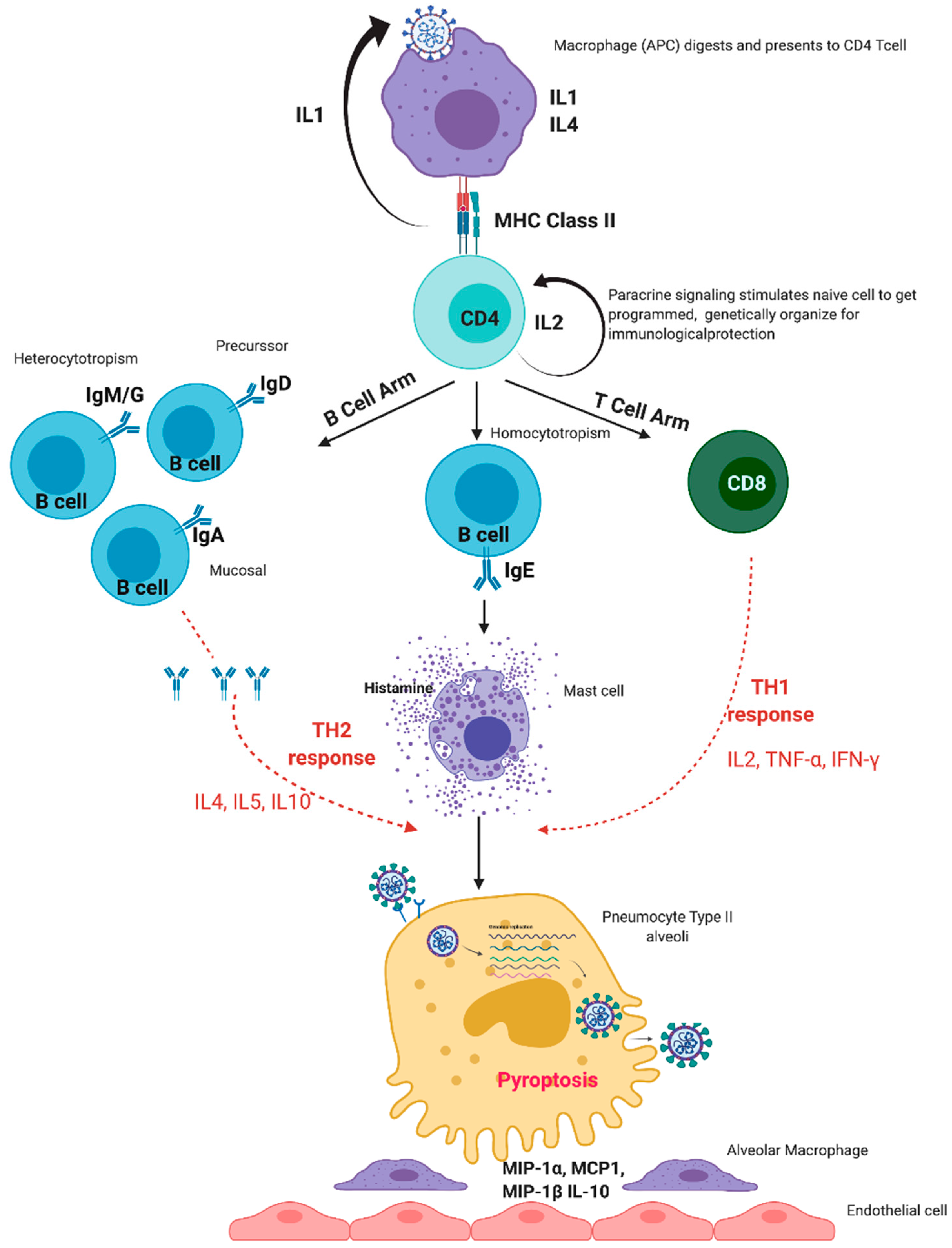 Viruses 13 00378 g001 Viruses 13 00378 g001