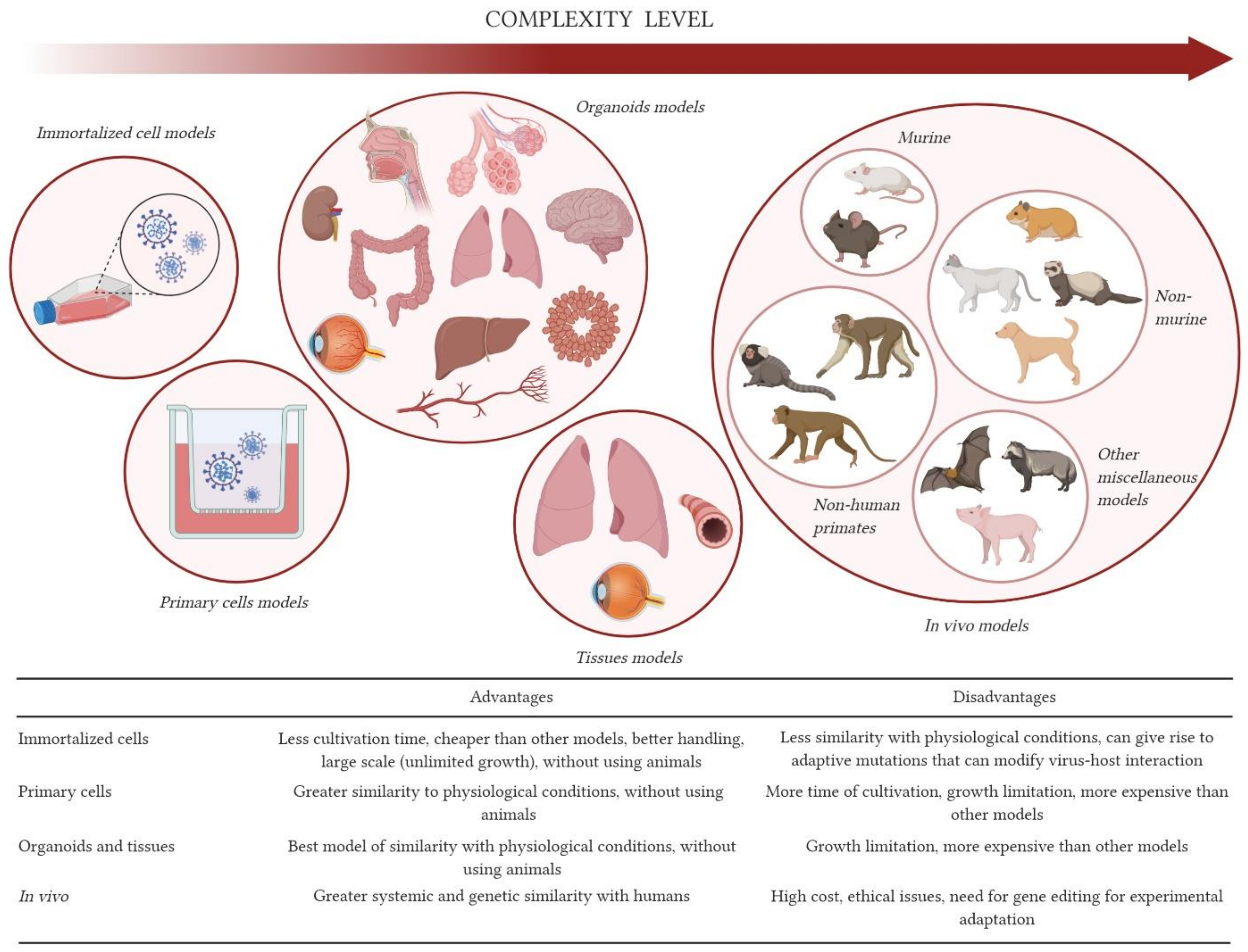 Viruses 13 00379 g001 Viruses 13 00379 g001
