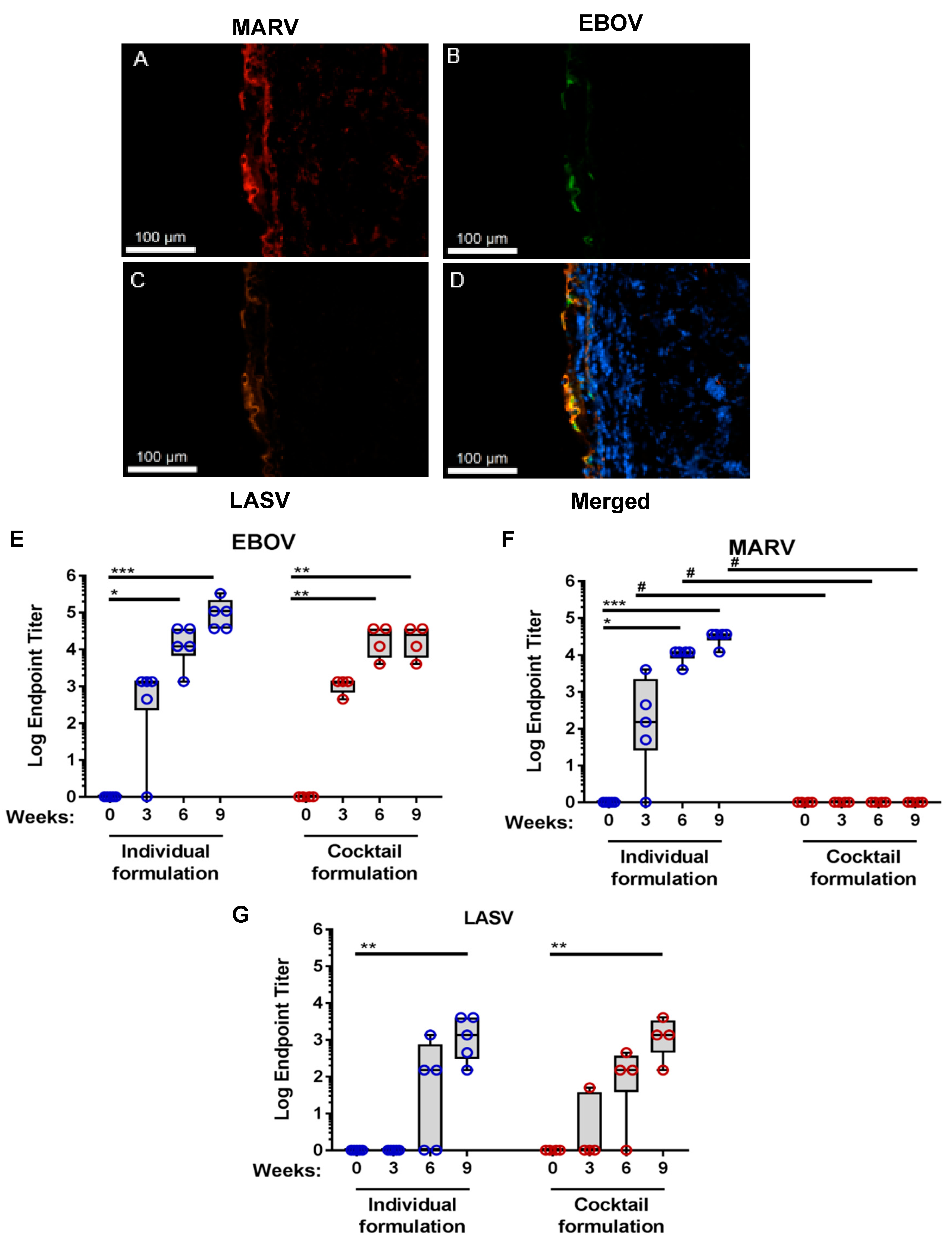 Viruses 13 00382 g001 Viruses 13 00382 g001