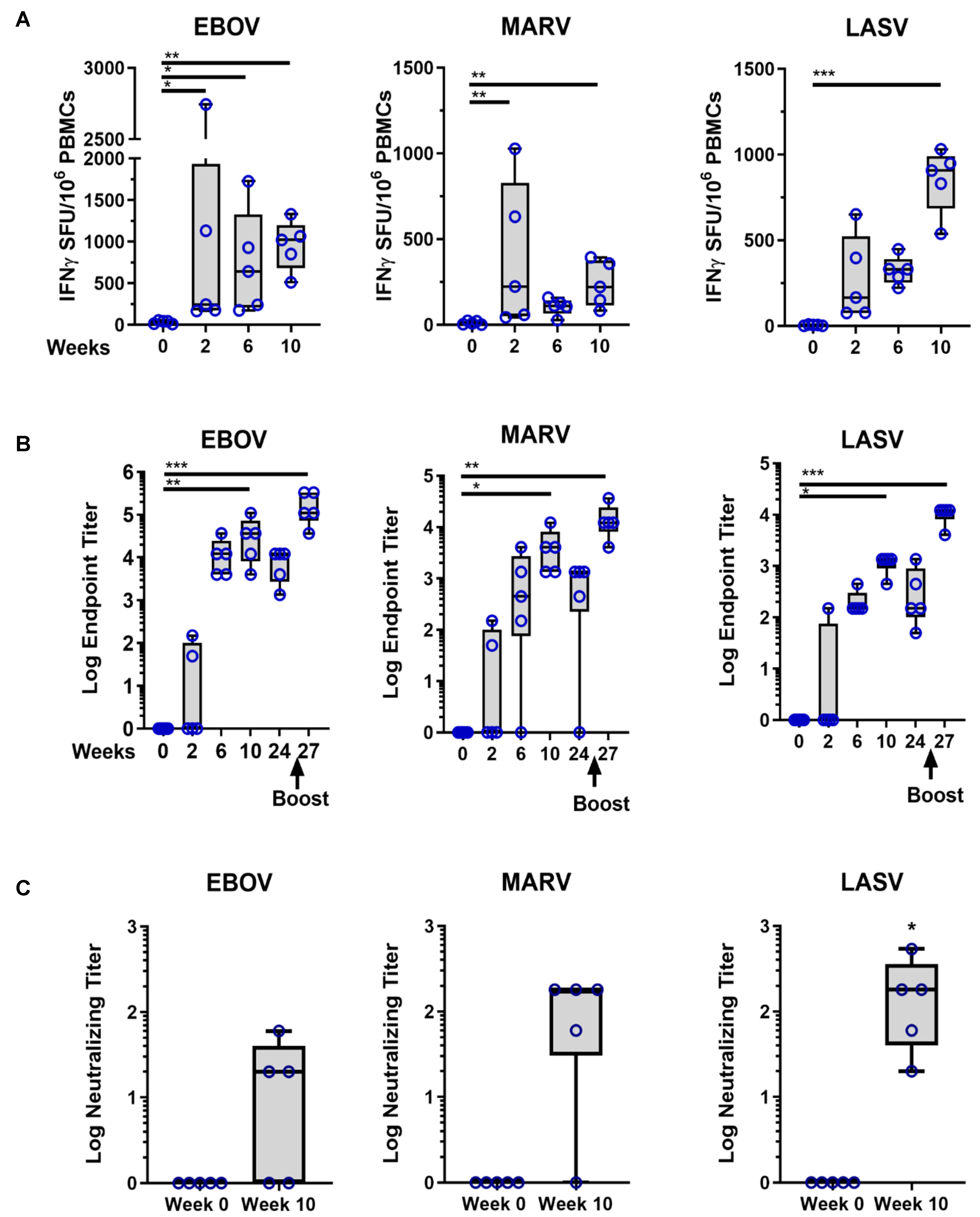 Viruses 13 00382 g002 Viruses 13 00382 g002