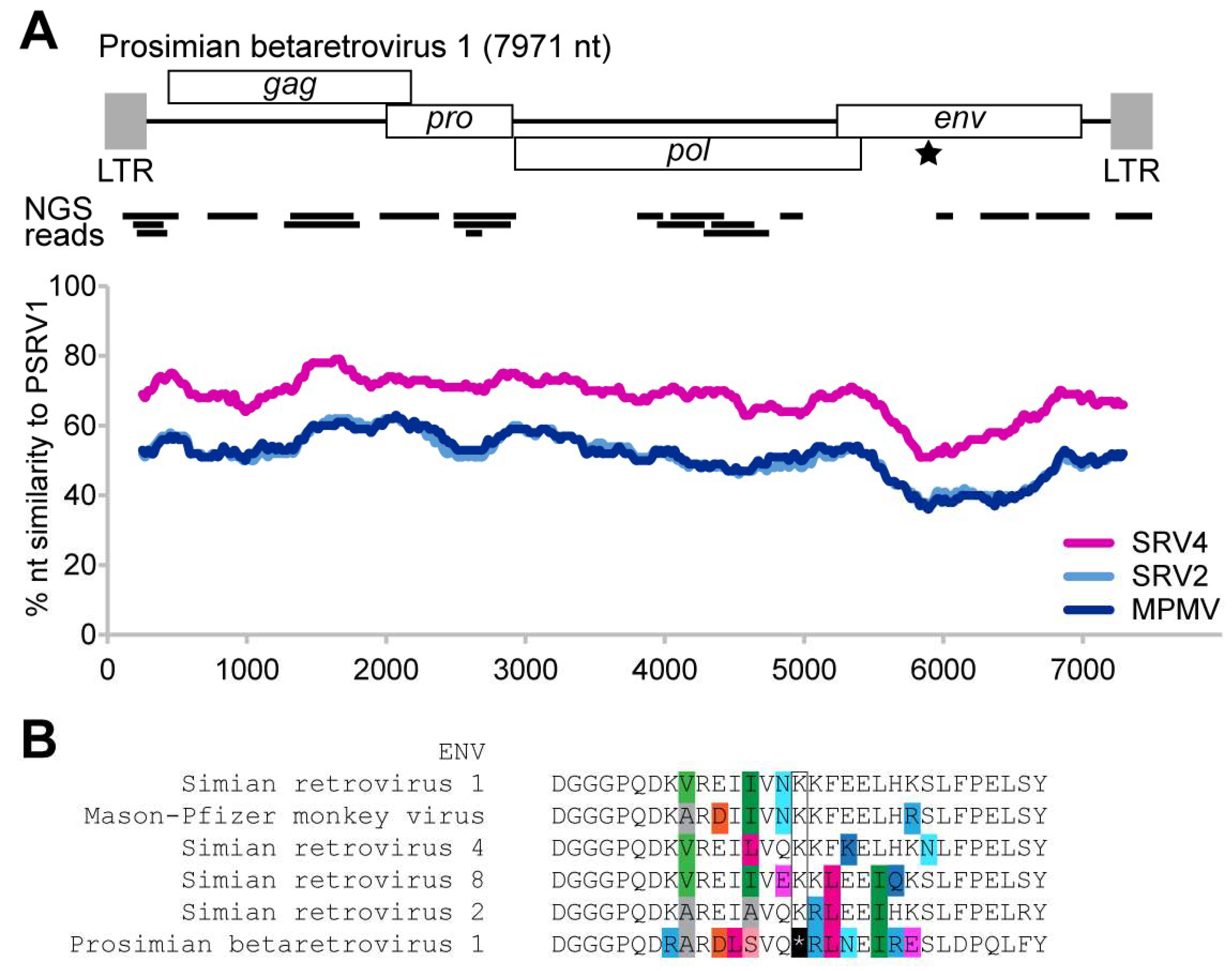 Viruses 13 00383 g001 Viruses 13 00383 g001