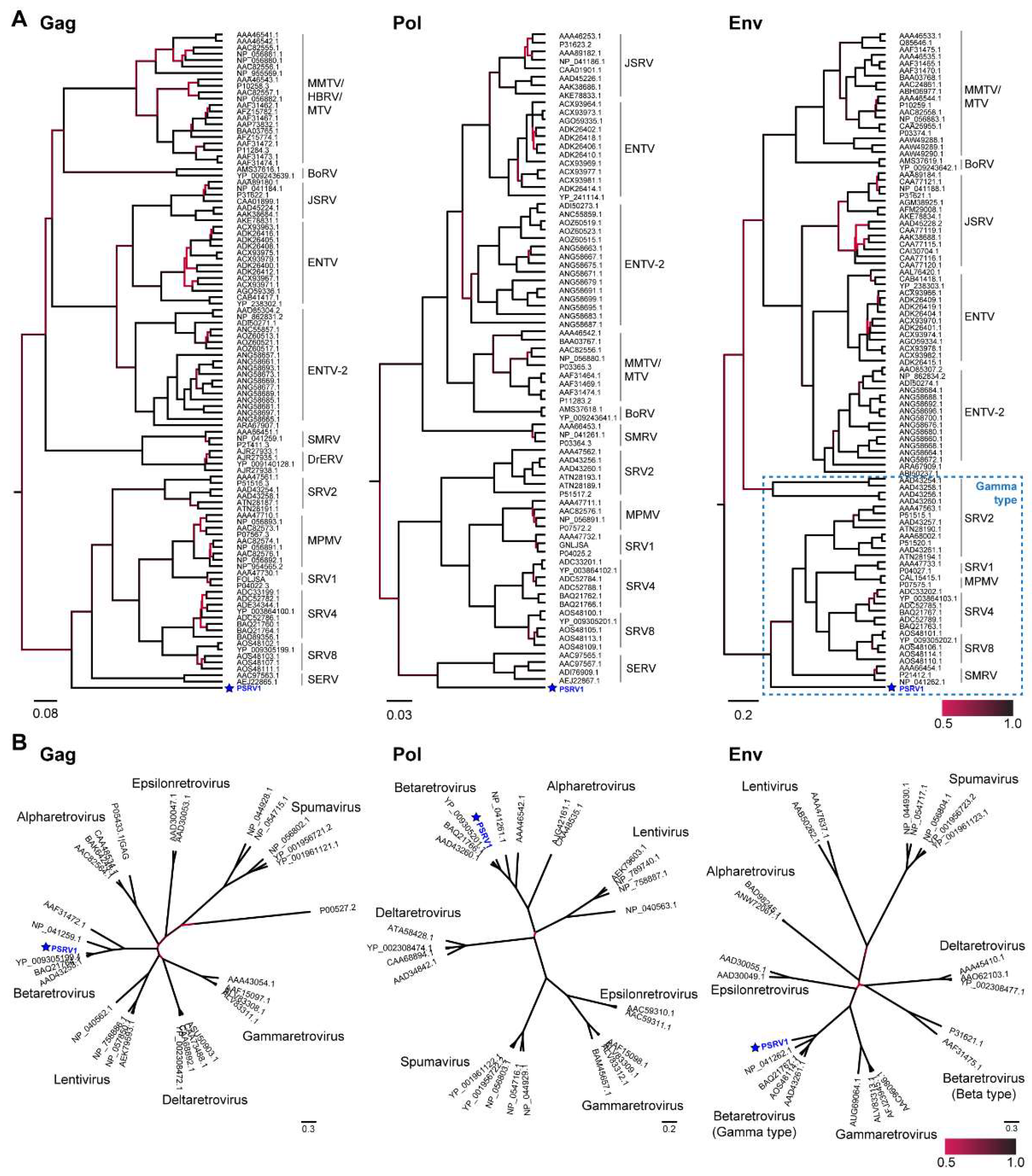 Viruses 13 00383 g002 Viruses 13 00383 g002