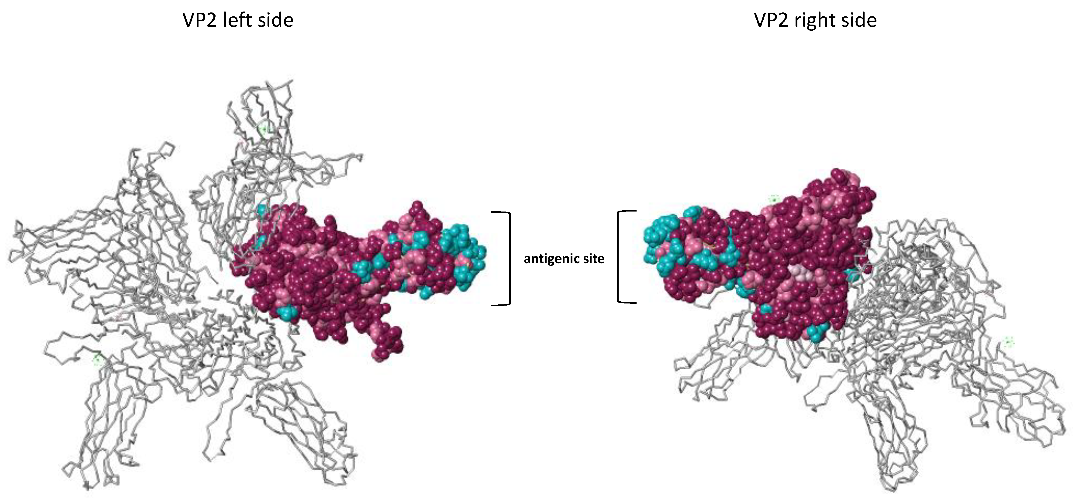 Viruses 13 00385 g003