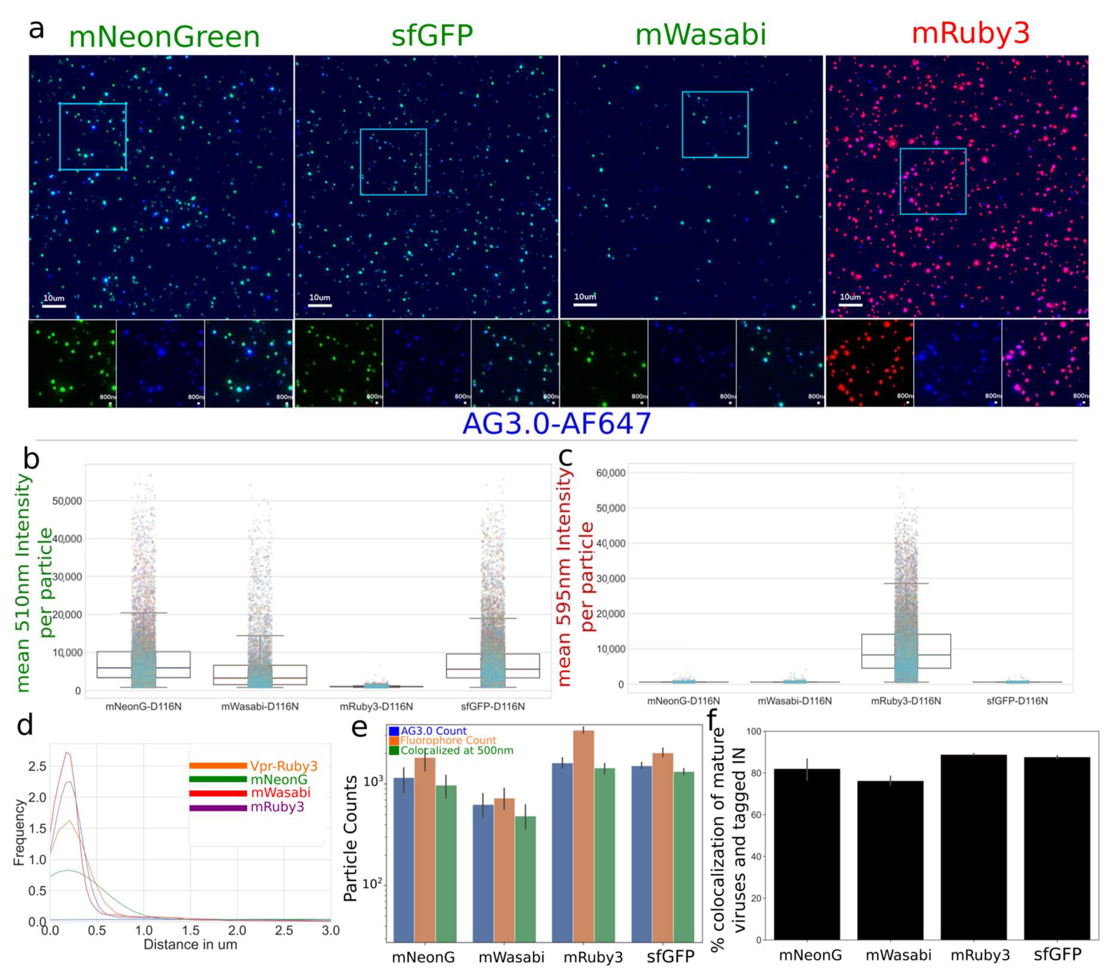 Viruses 13 00386 g003 Viruses 13 00386 g003