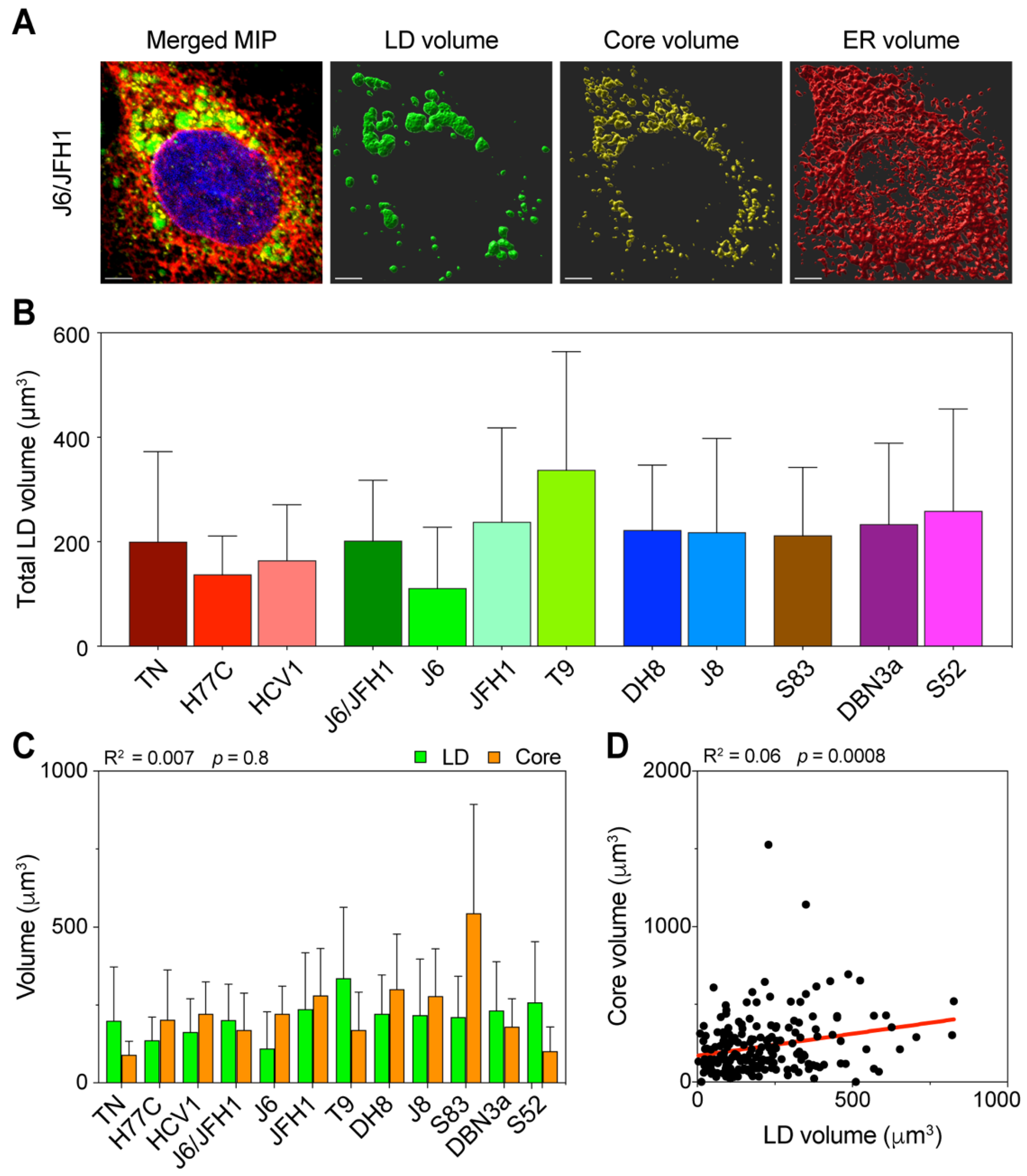 Viruses 13 00389 g004