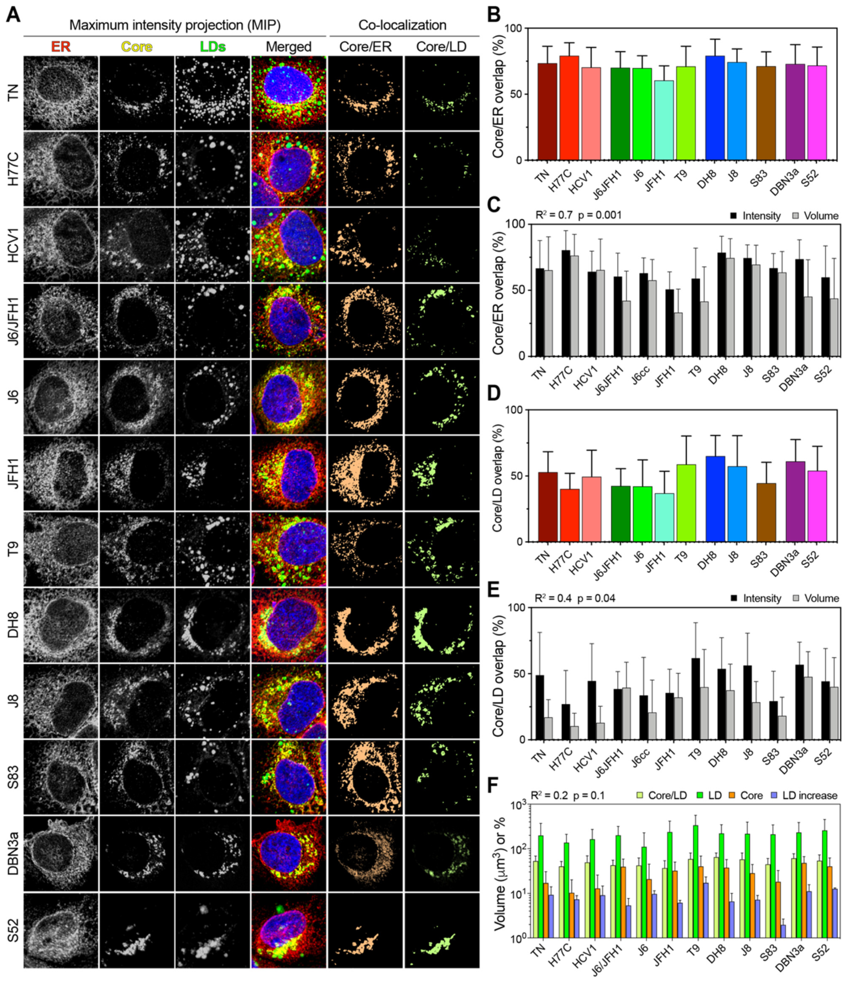 Viruses 13 00389 g006