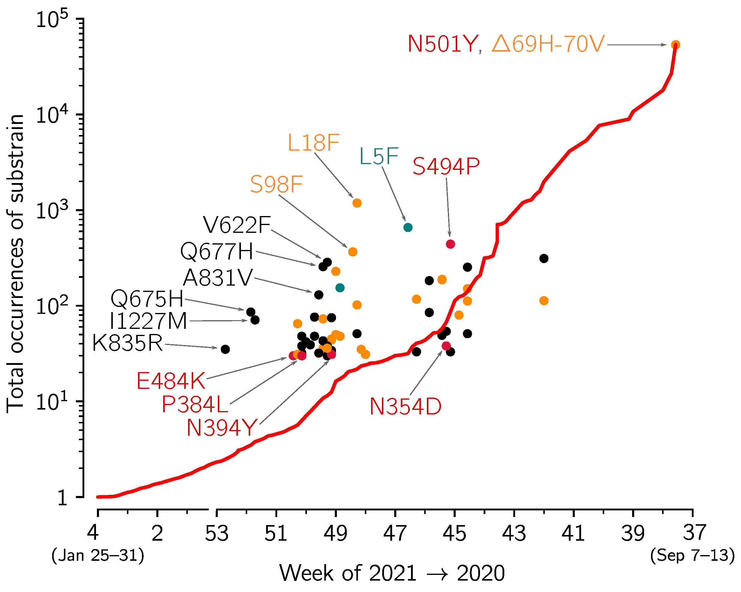 Viruses 13 00392 g006 Viruses 13 00392 g006