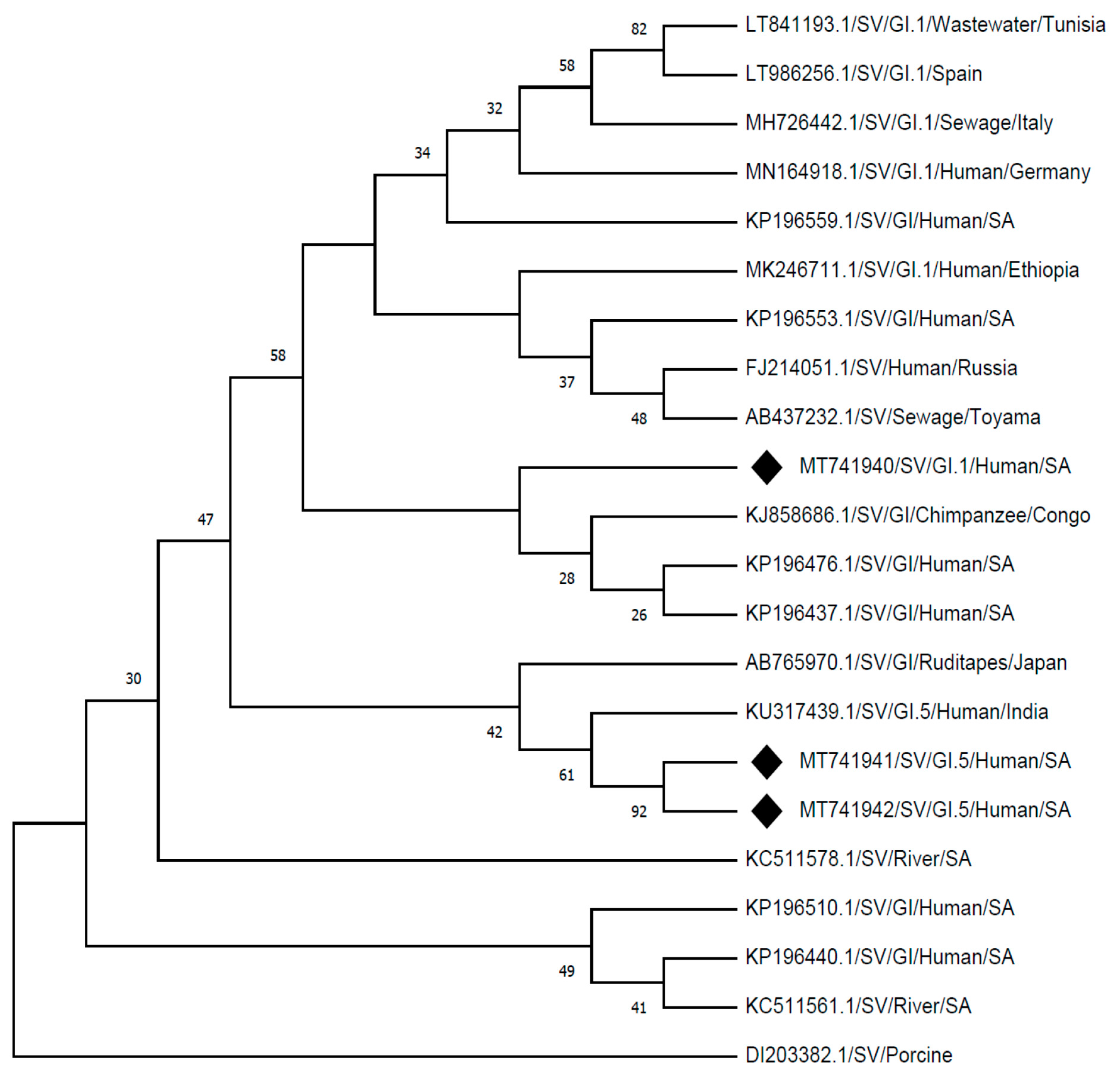 Viruses 13 00393 g002 Viruses 13 00393 g002