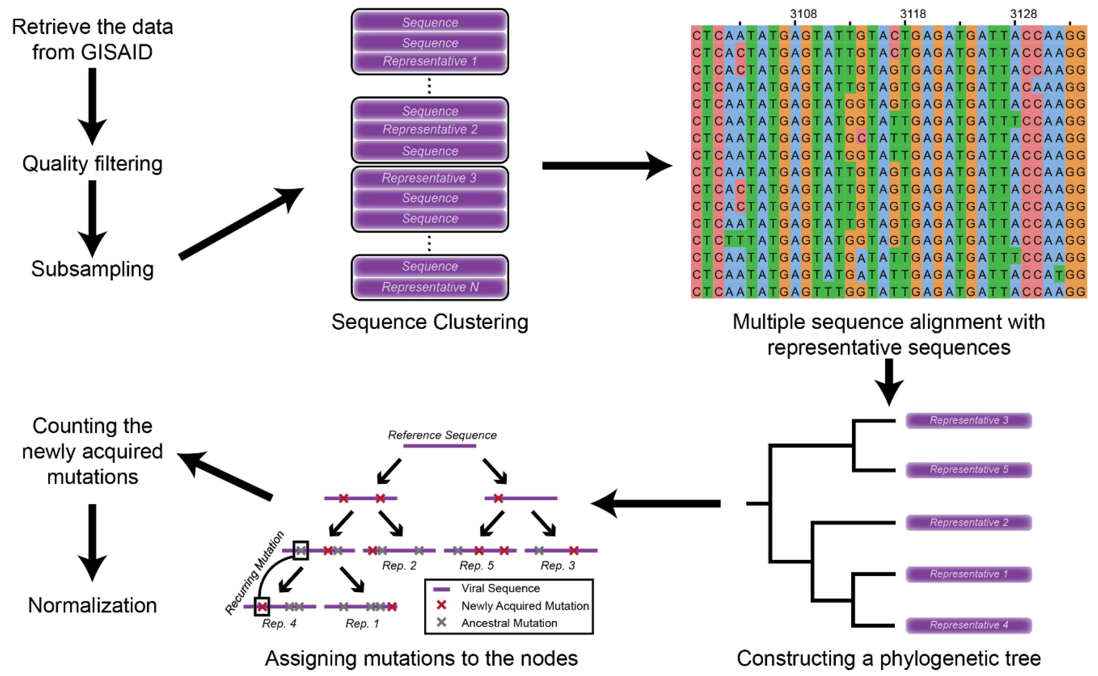 Viruses 13 00394 g001 Viruses 13 00394 g001