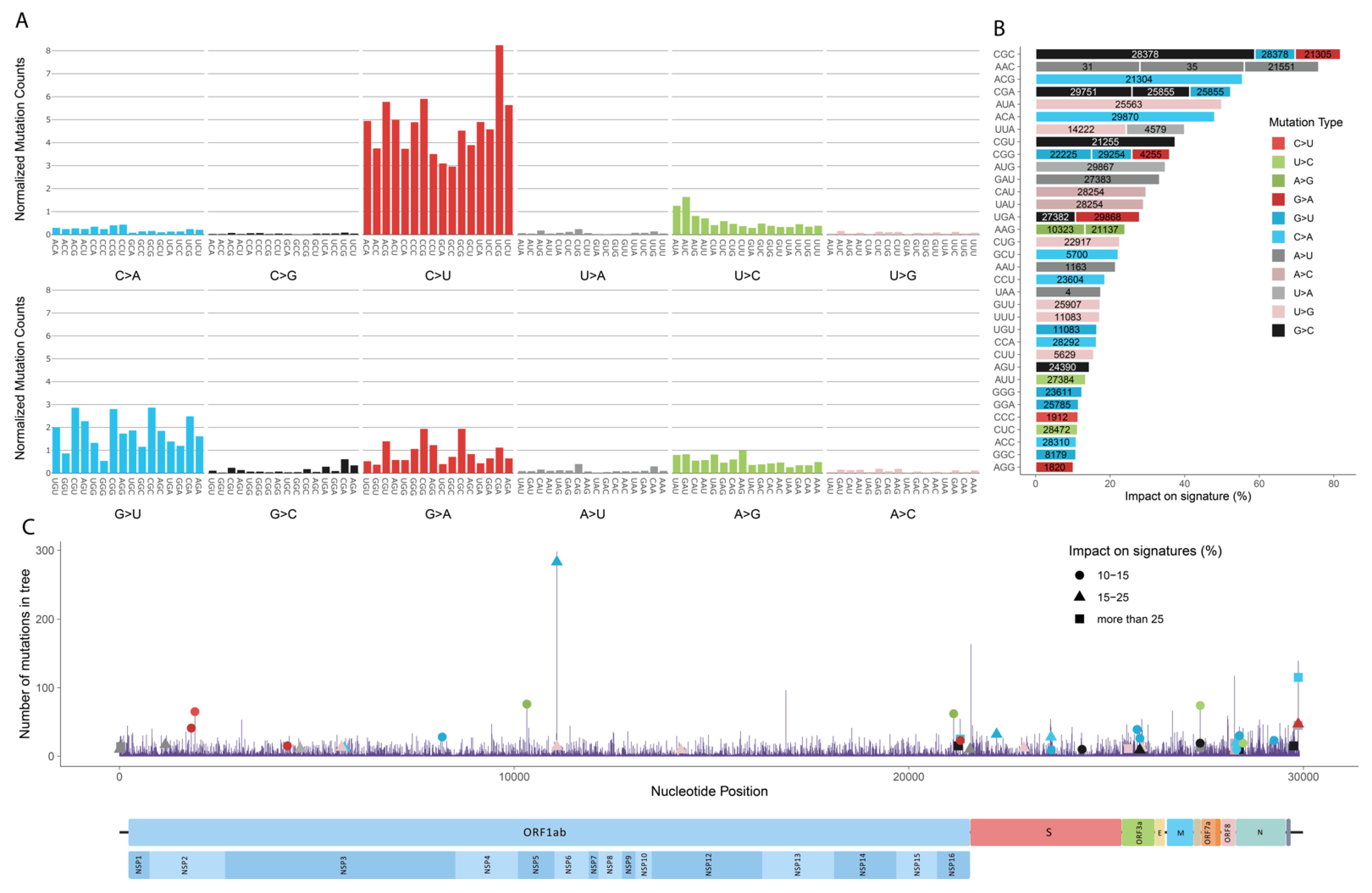 Viruses 13 00394 g002 Viruses 13 00394 g002