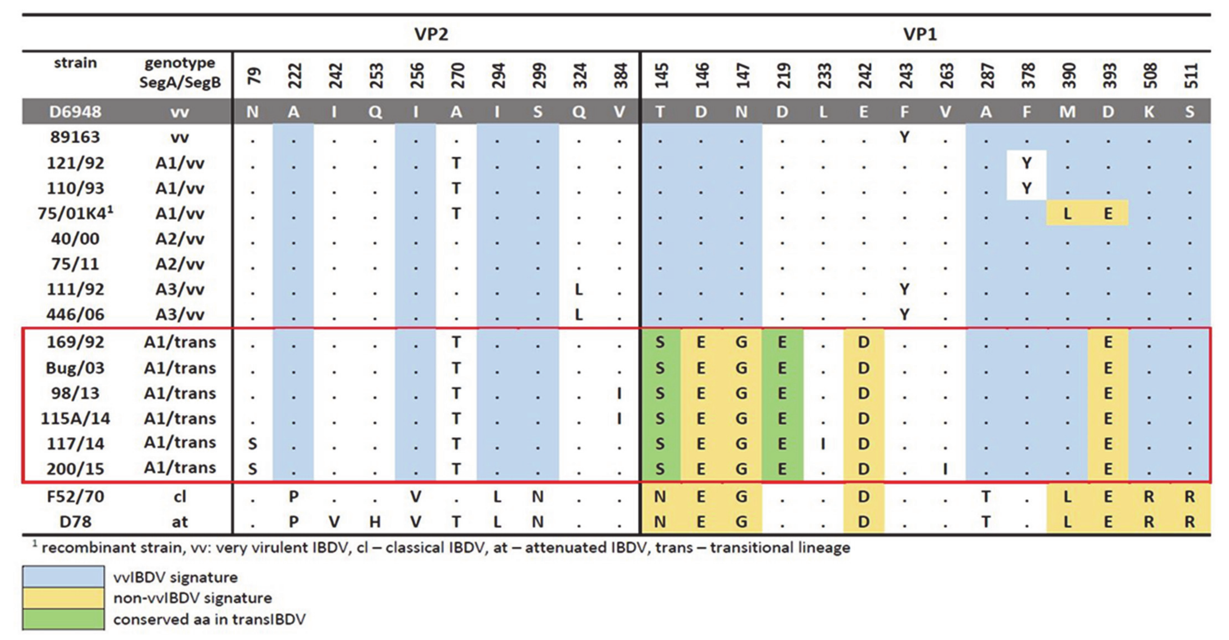 Viruses 13 00396 g001