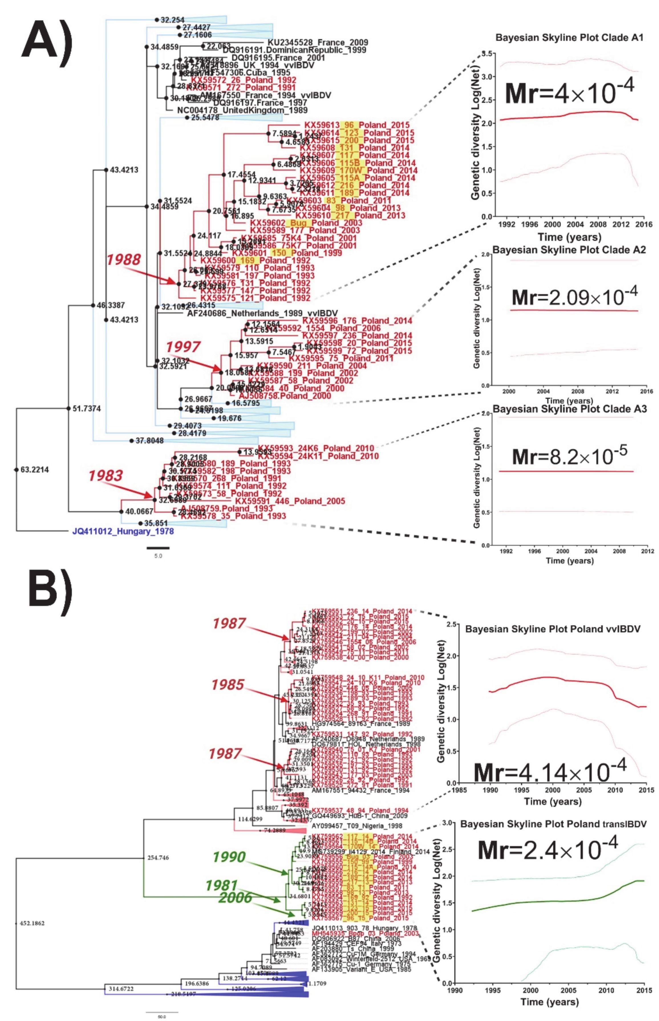 Viruses 13 00396 g002