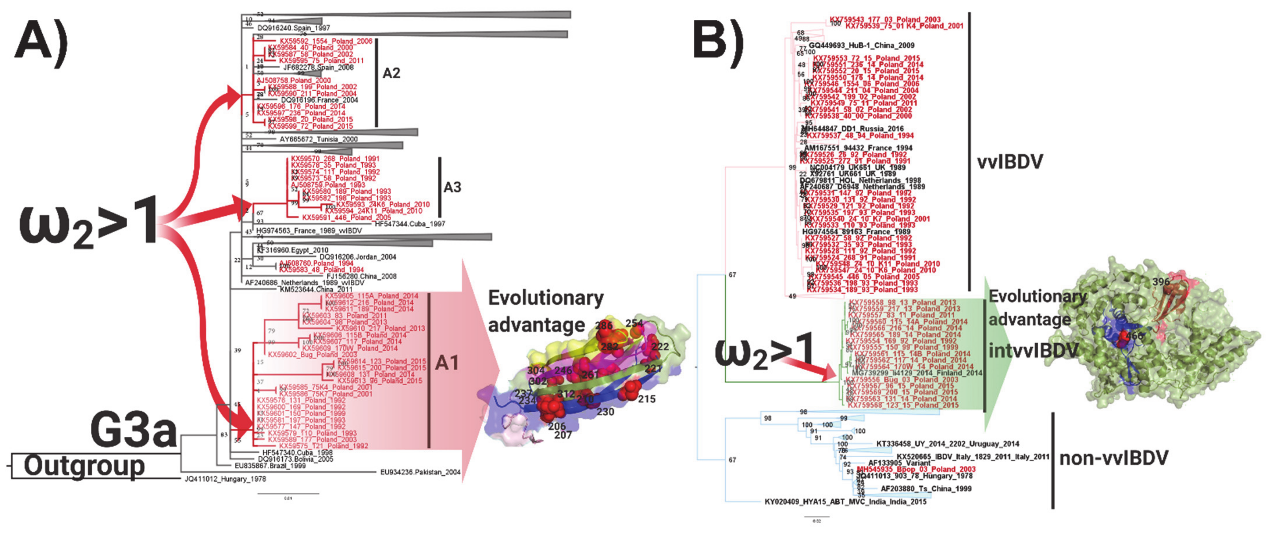 Viruses 13 00396 g003