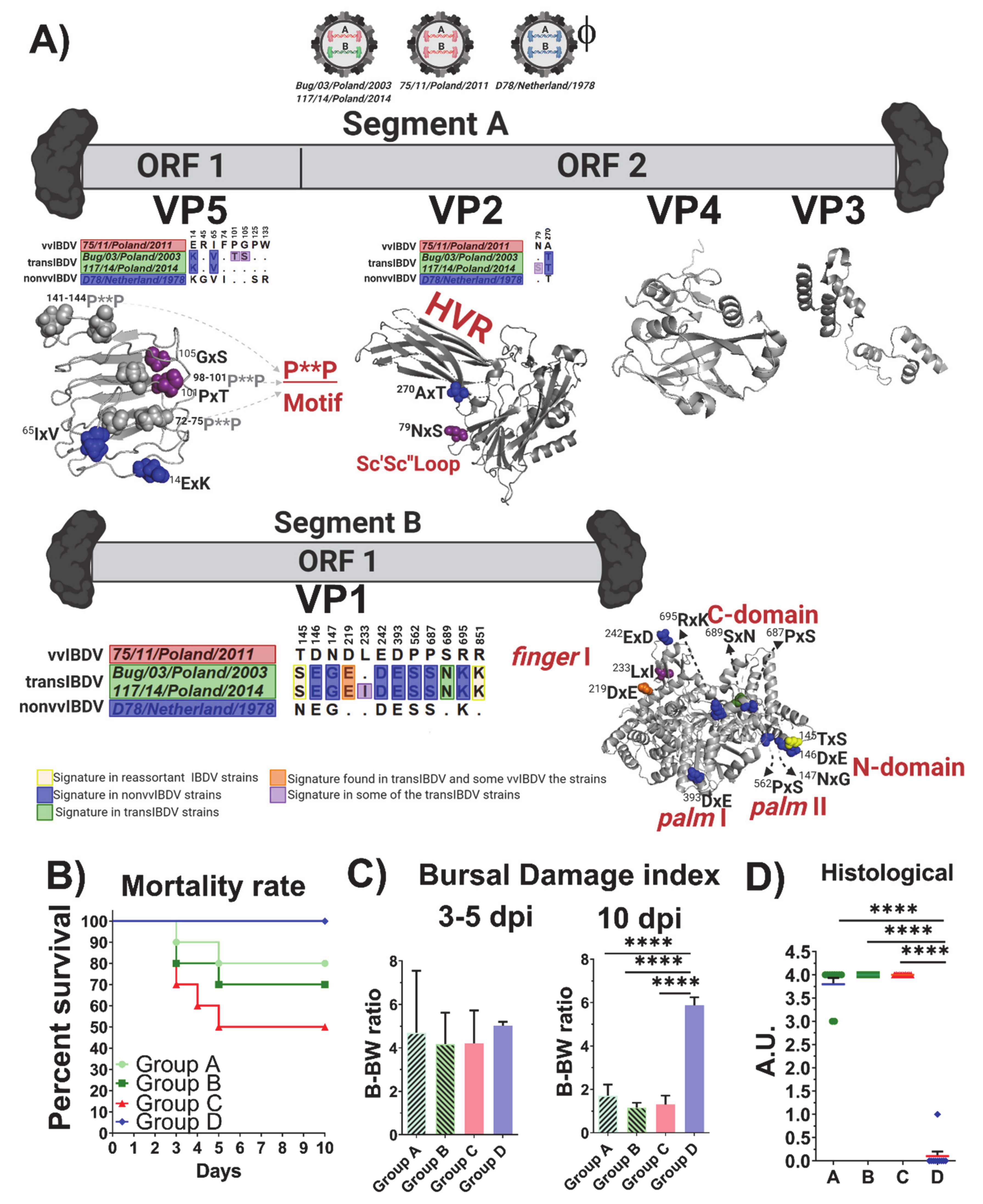 Viruses 13 00396 g005