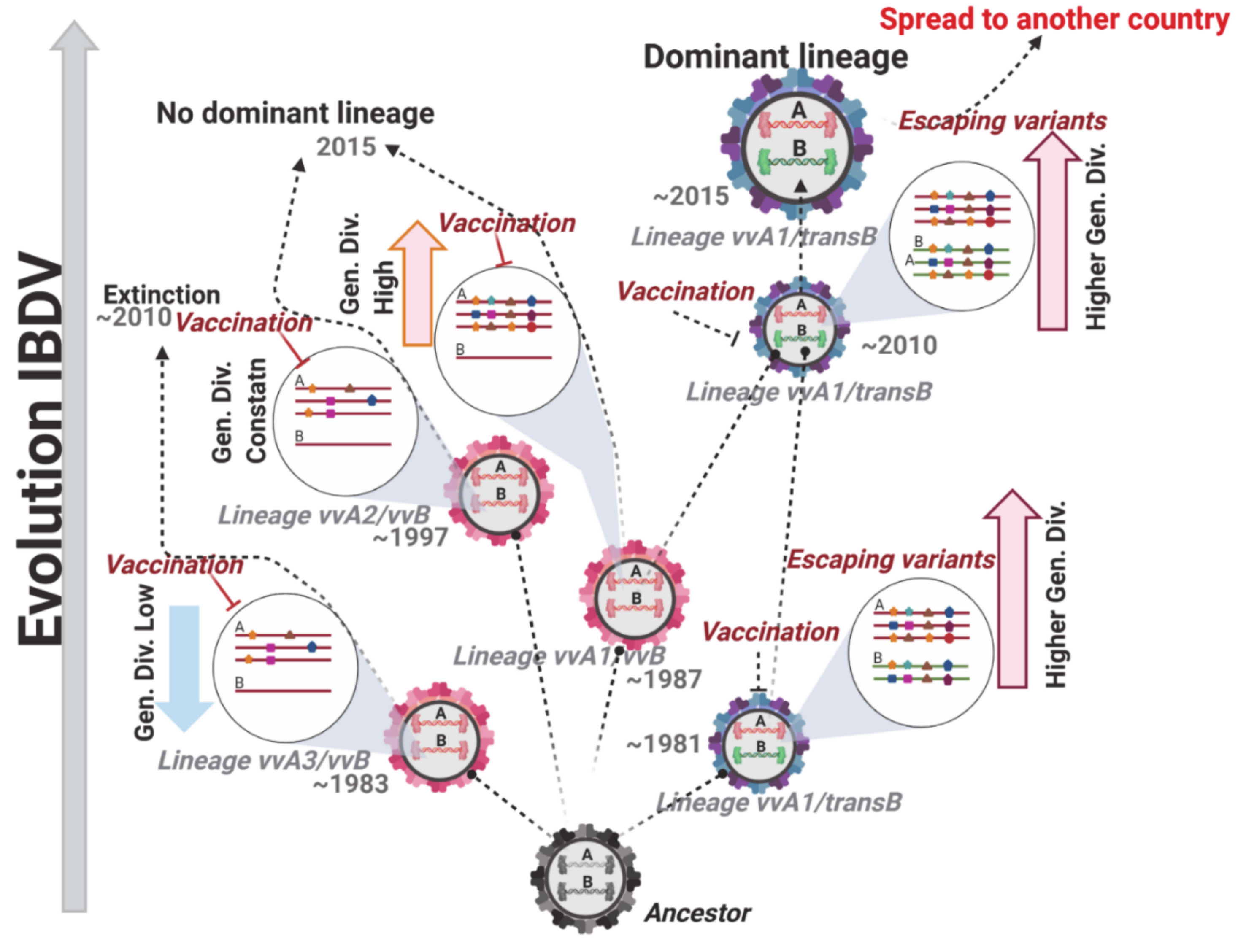 Viruses 13 00396 g008