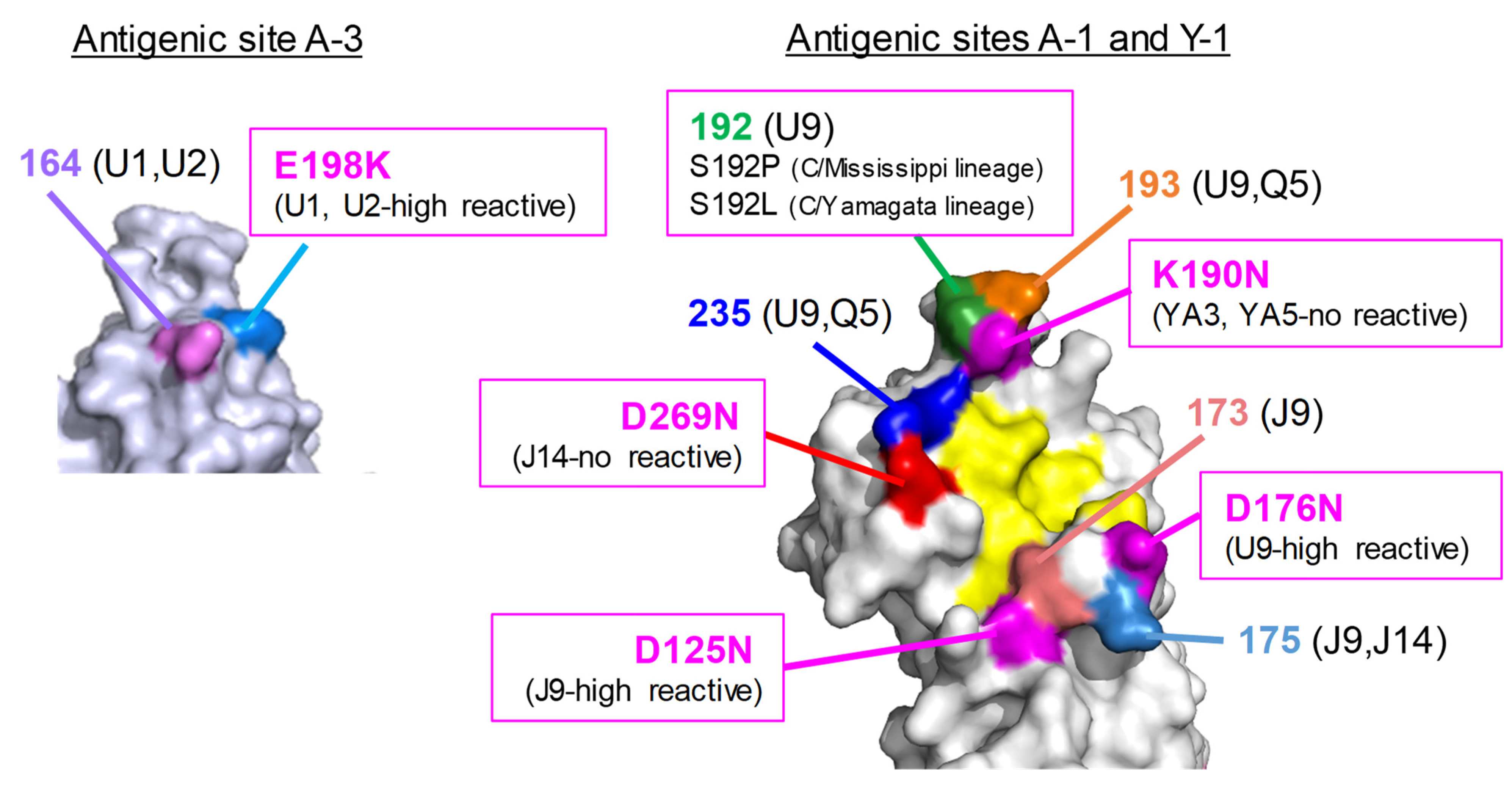Viruses 13 00401 g005 Viruses 13 00401 g005