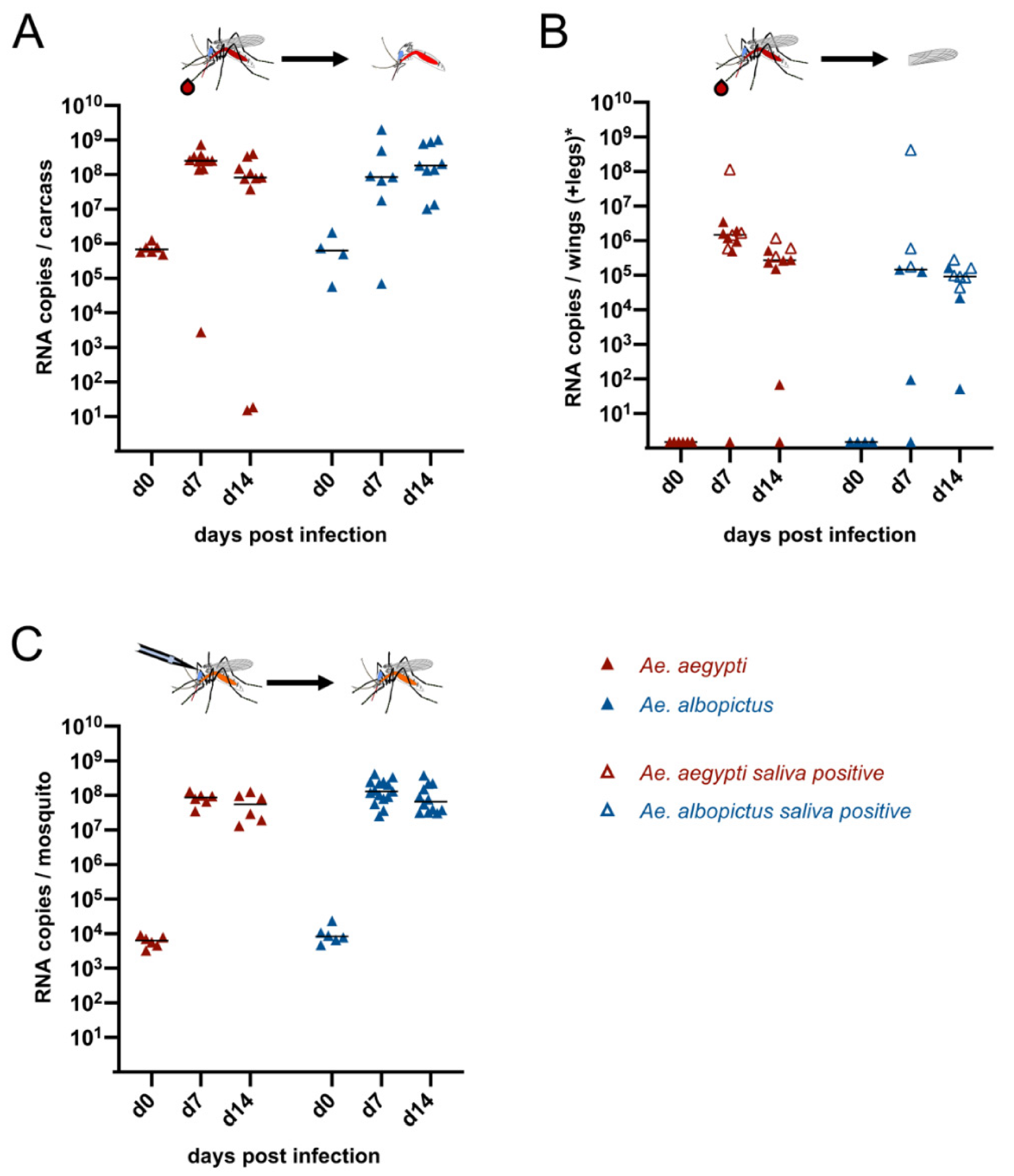 Viruses 13 00403 g002