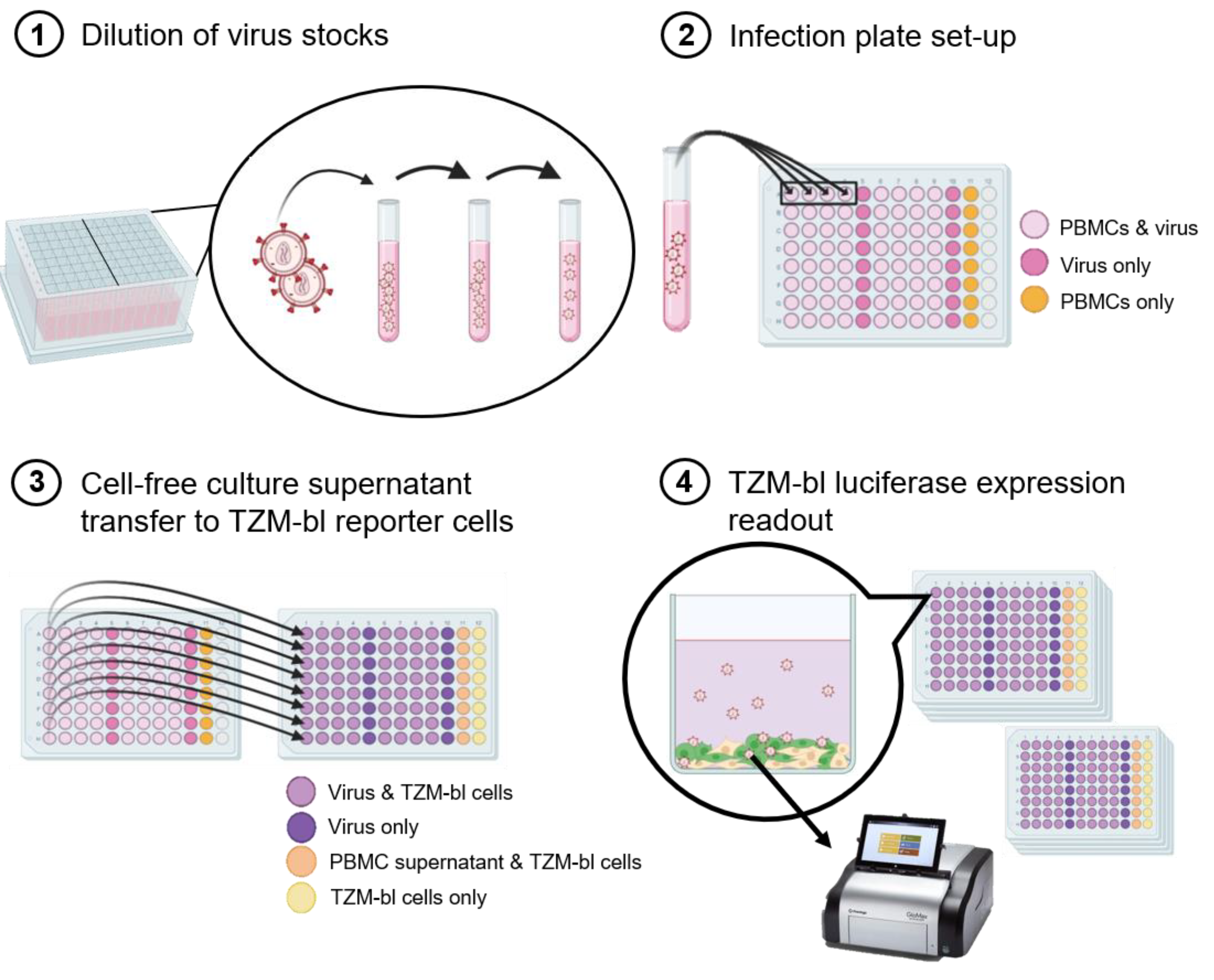 Viruses 13 00404 g001 Viruses 13 00404 g001