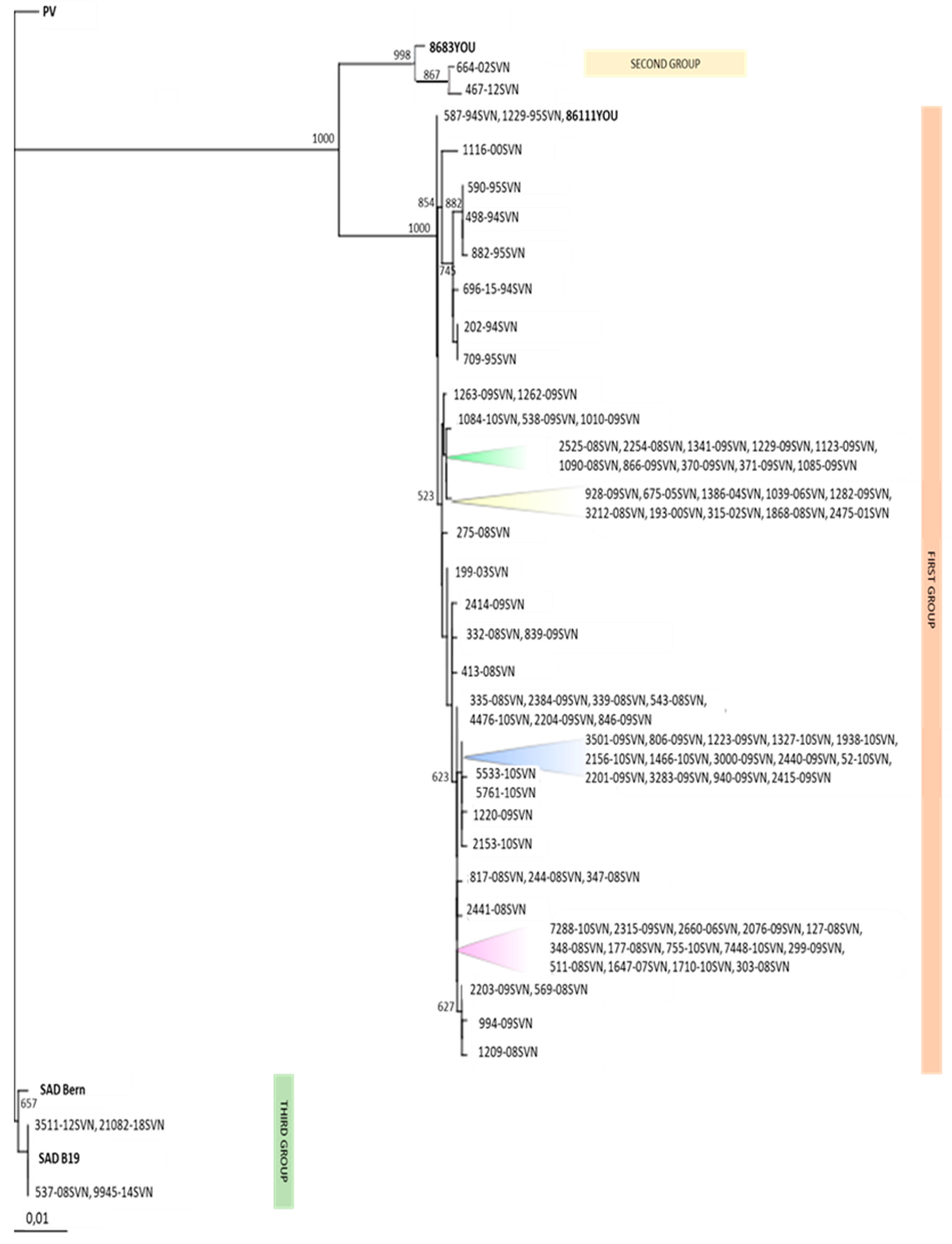 Viruses 13 00405 g005 Viruses 13 00405 g005