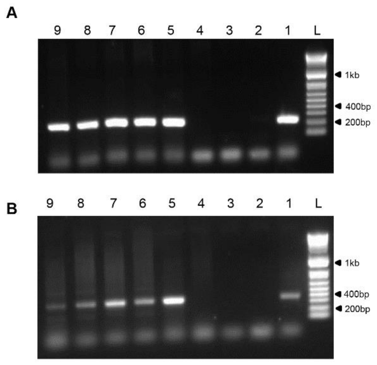 Viruses 13 00407 g003 Viruses 13 00407 g003