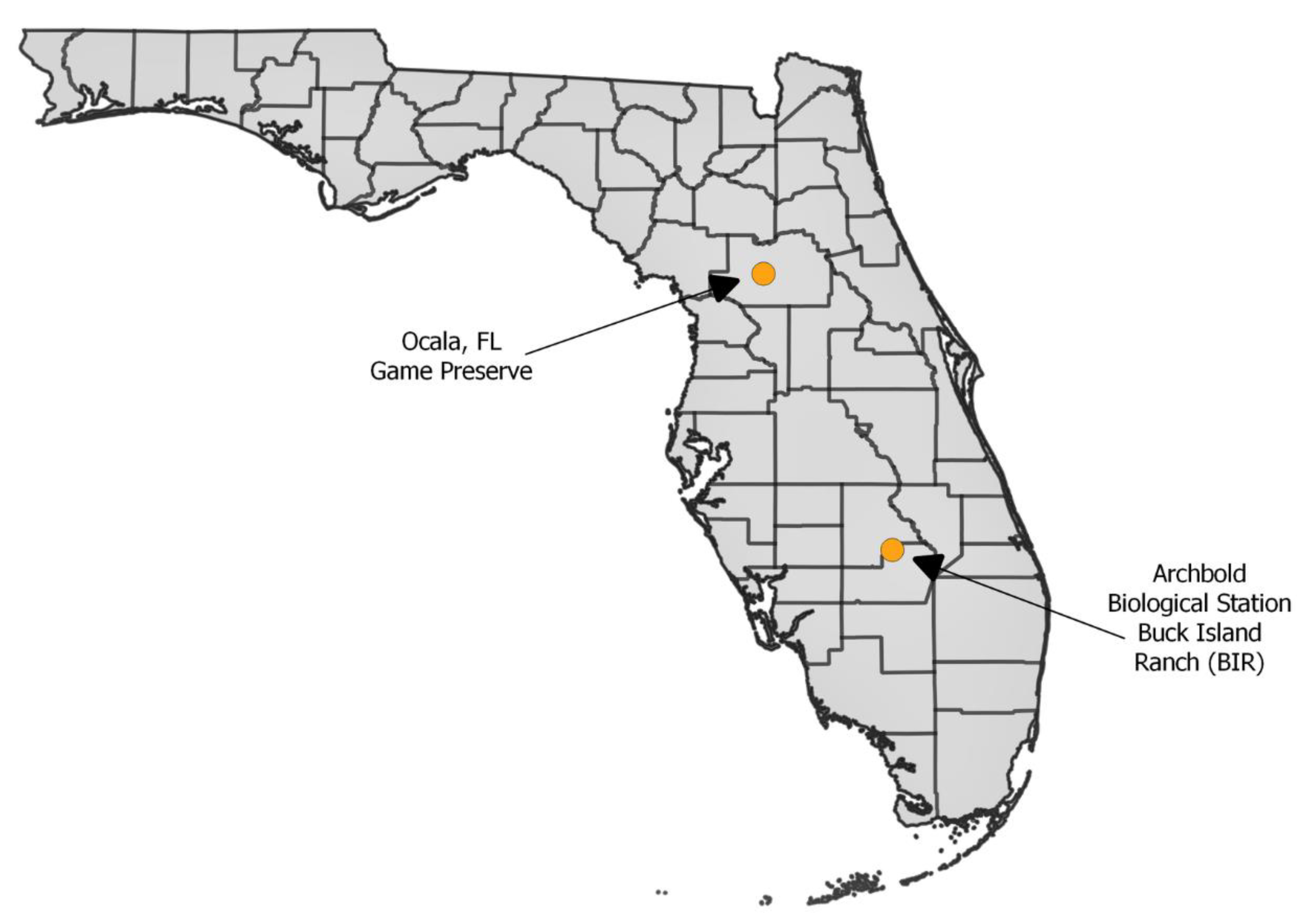 Viruses 13 00410 g001 Viruses 13 00410 g001