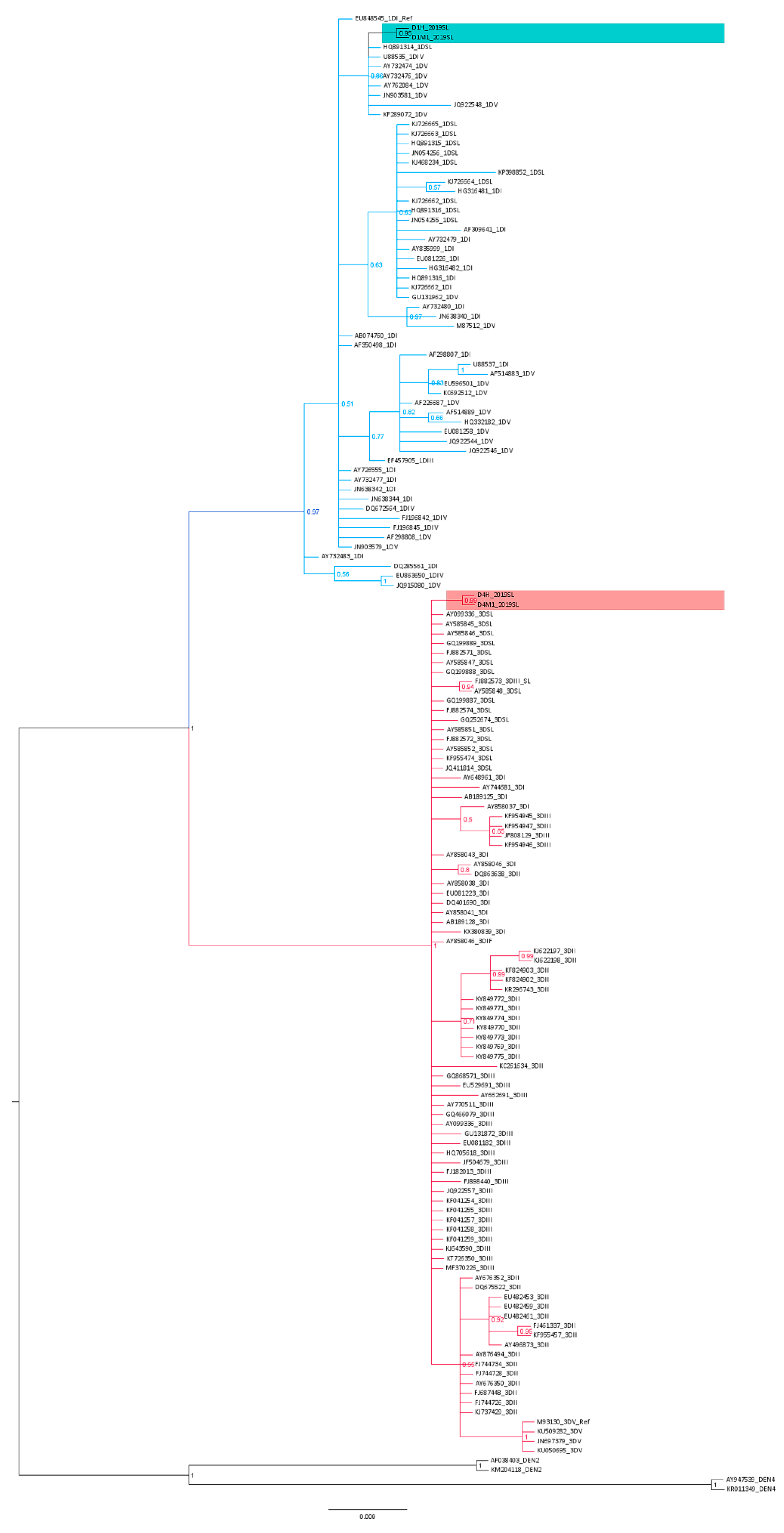 Viruses 13 00421 g004 Viruses 13 00421 g004