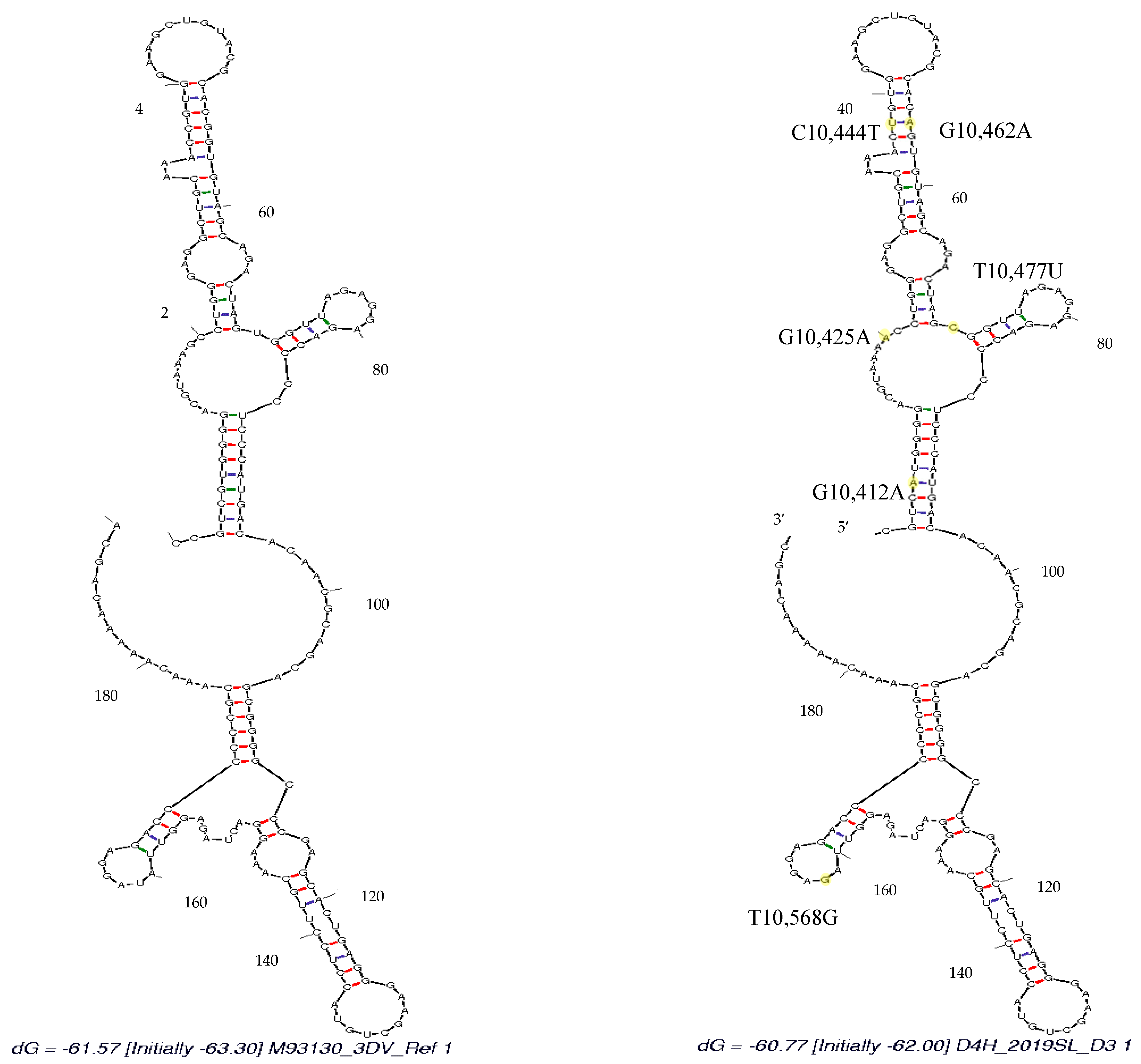 Viruses 13 00421 g008 Viruses 13 00421 g008