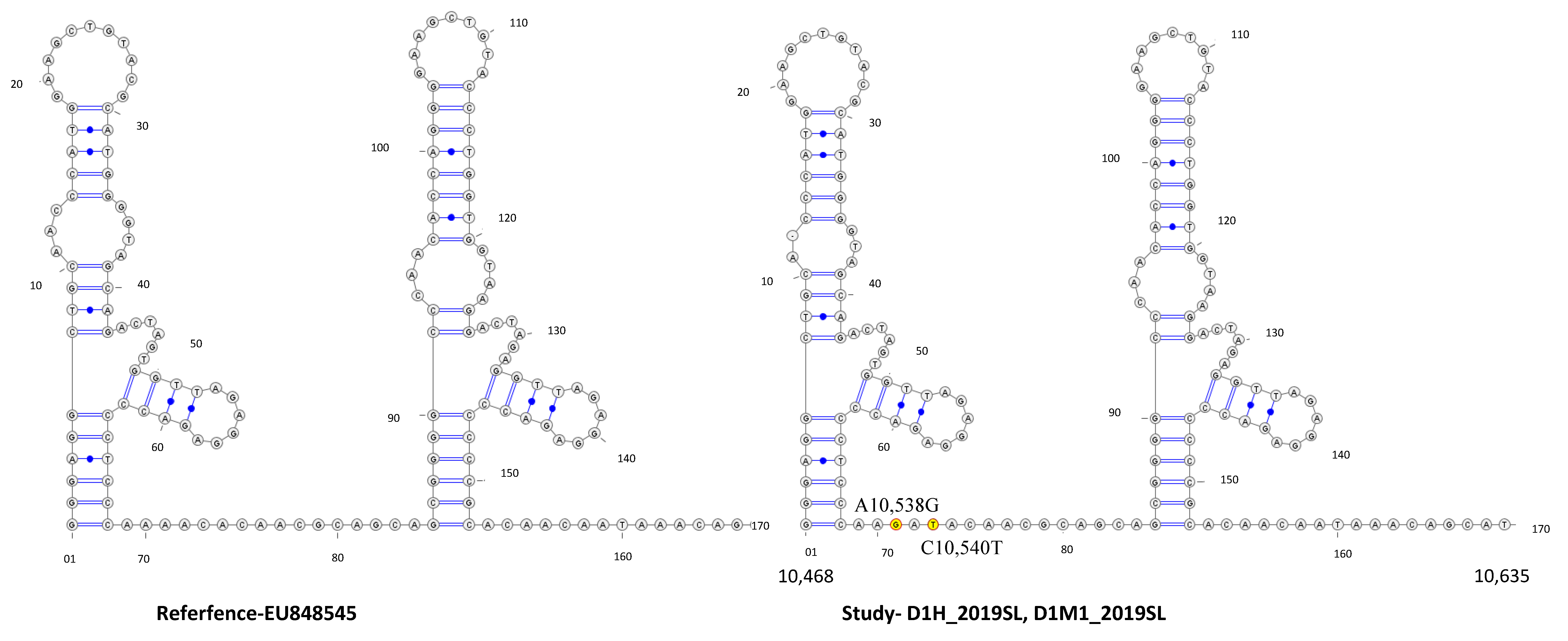 Viruses 13 00421 g009 Viruses 13 00421 g009