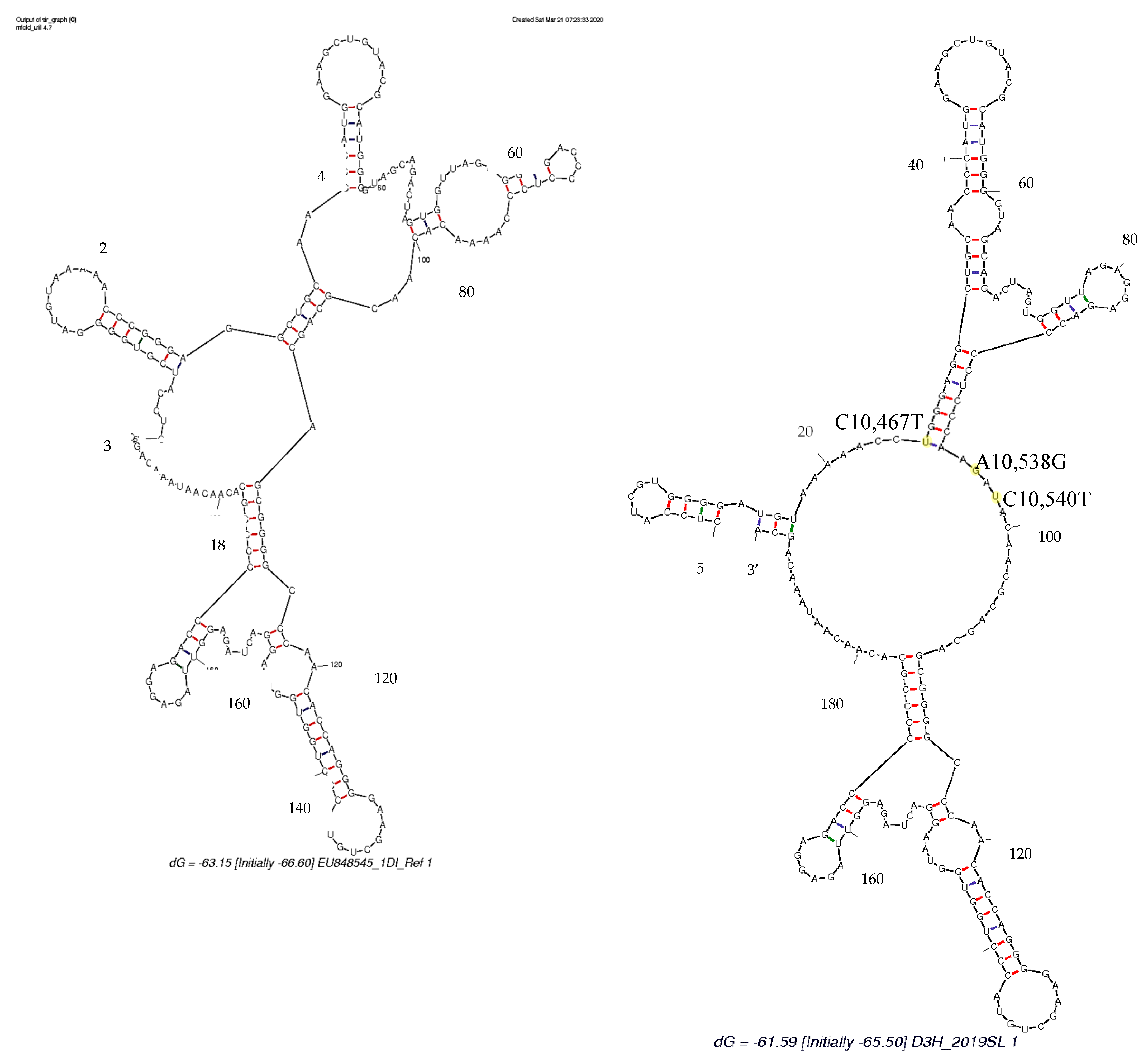 Viruses 13 00421 g010 Viruses 13 00421 g010