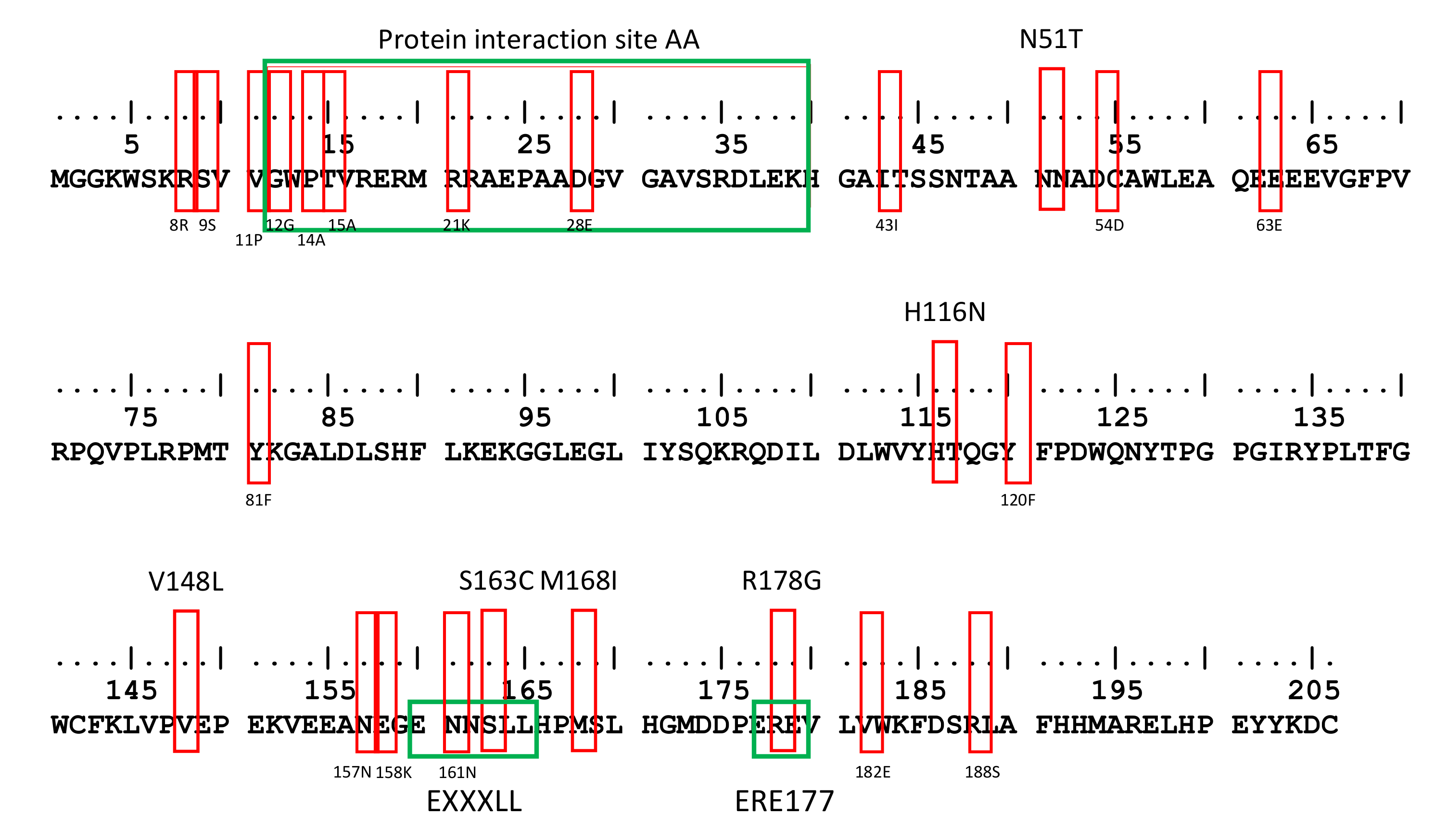 Viruses 13 00423 g001 Viruses 13 00423 g001