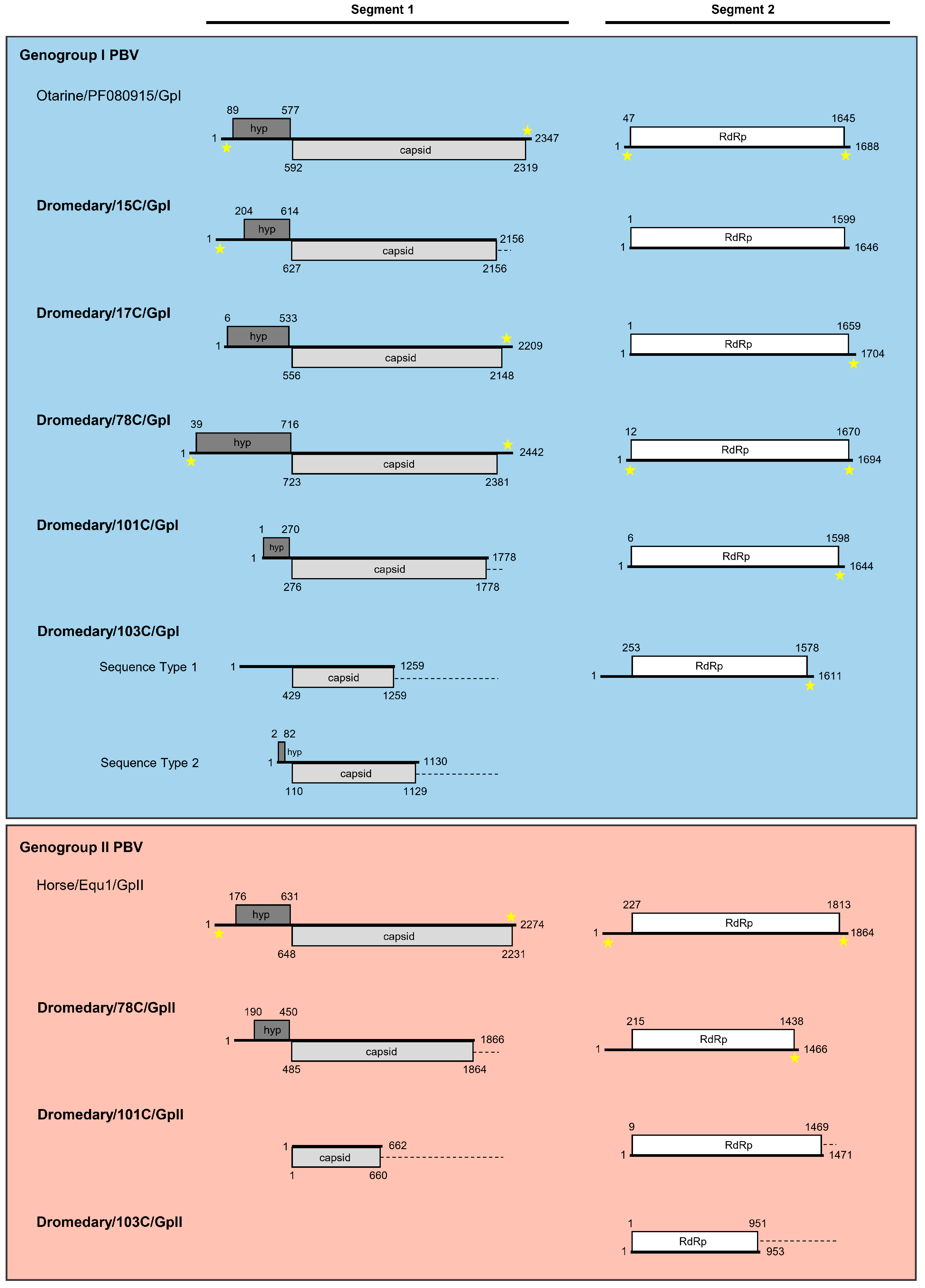 Viruses 13 00430 g002 Viruses 13 00430 g002