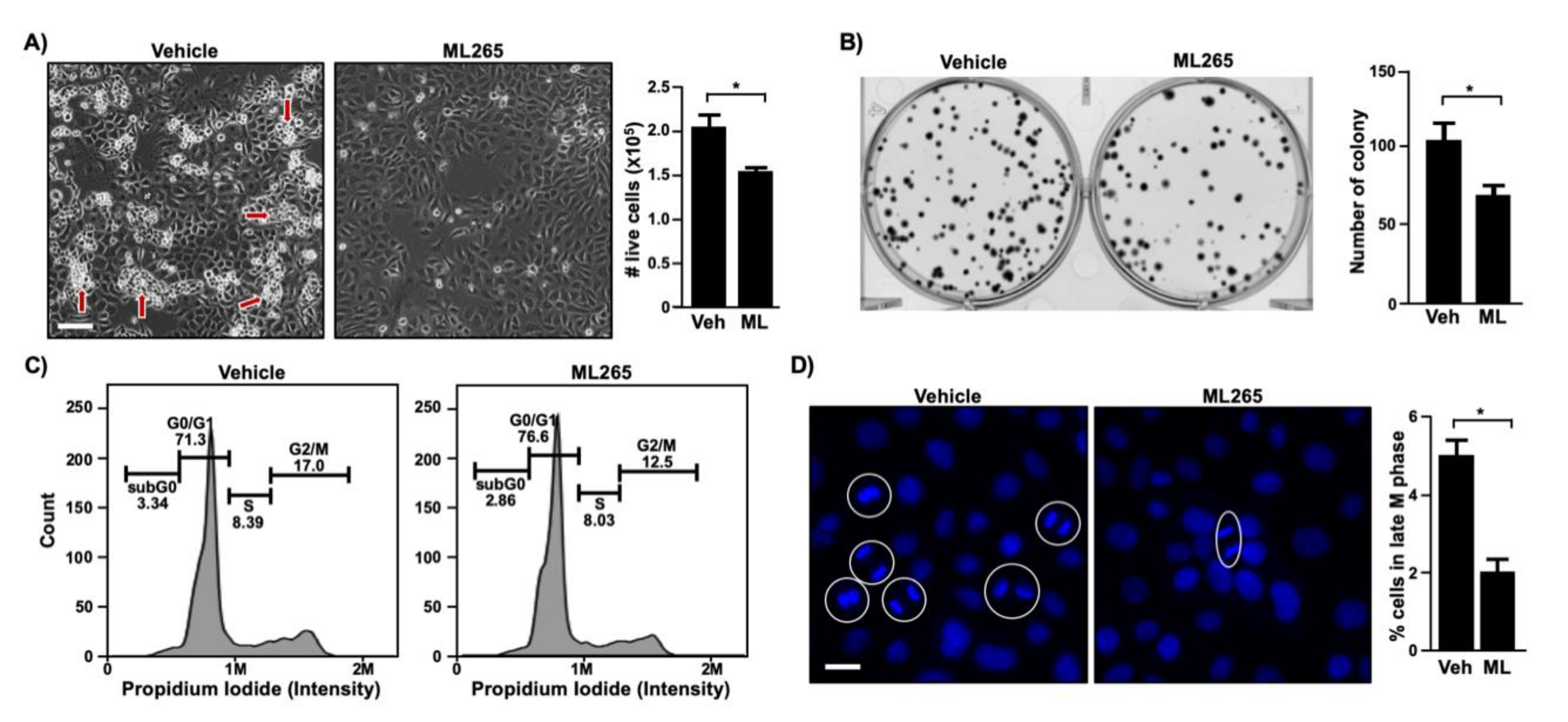 Viruses 13 00433 g005