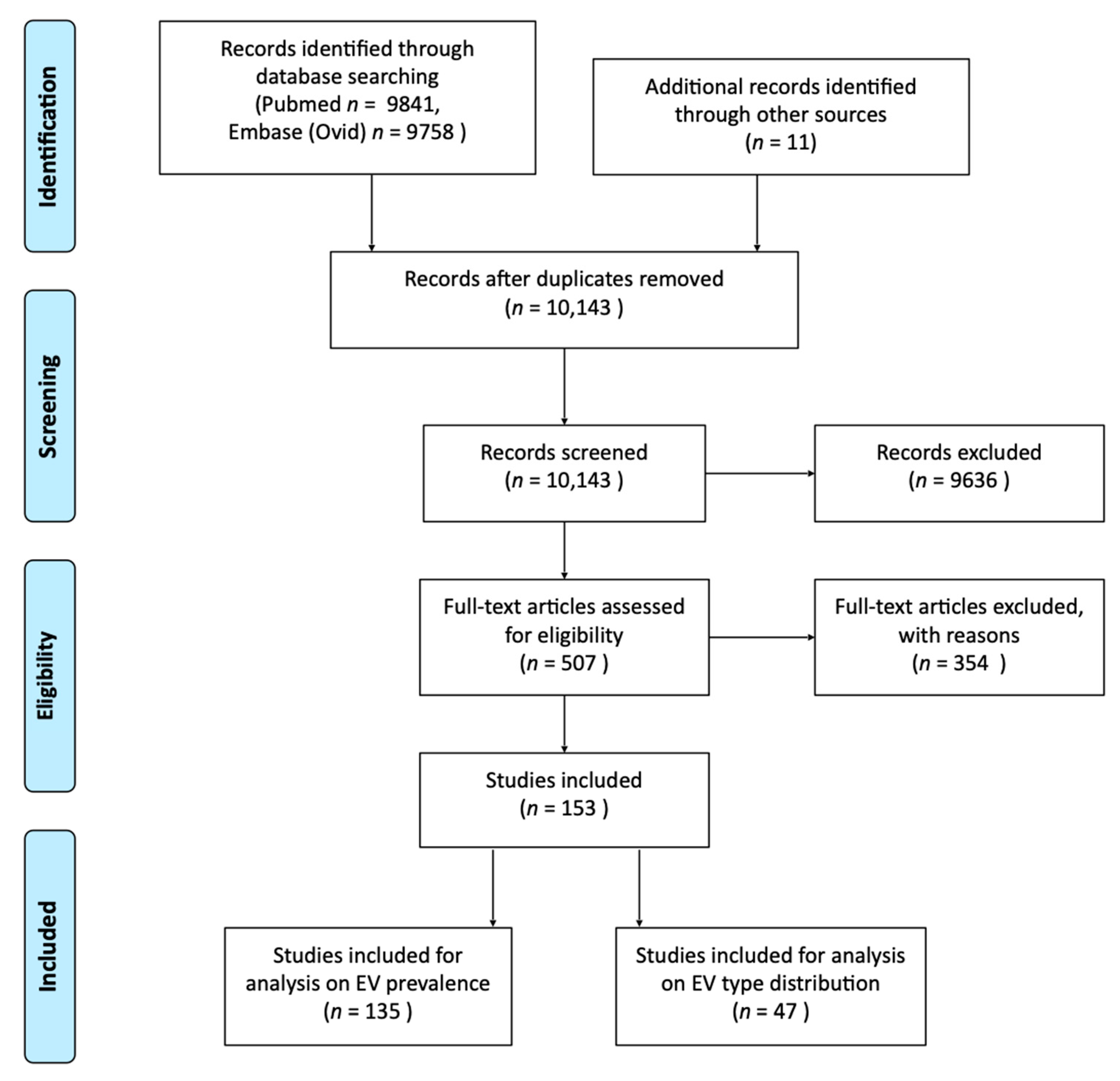 Viruses 13 00434 g001
