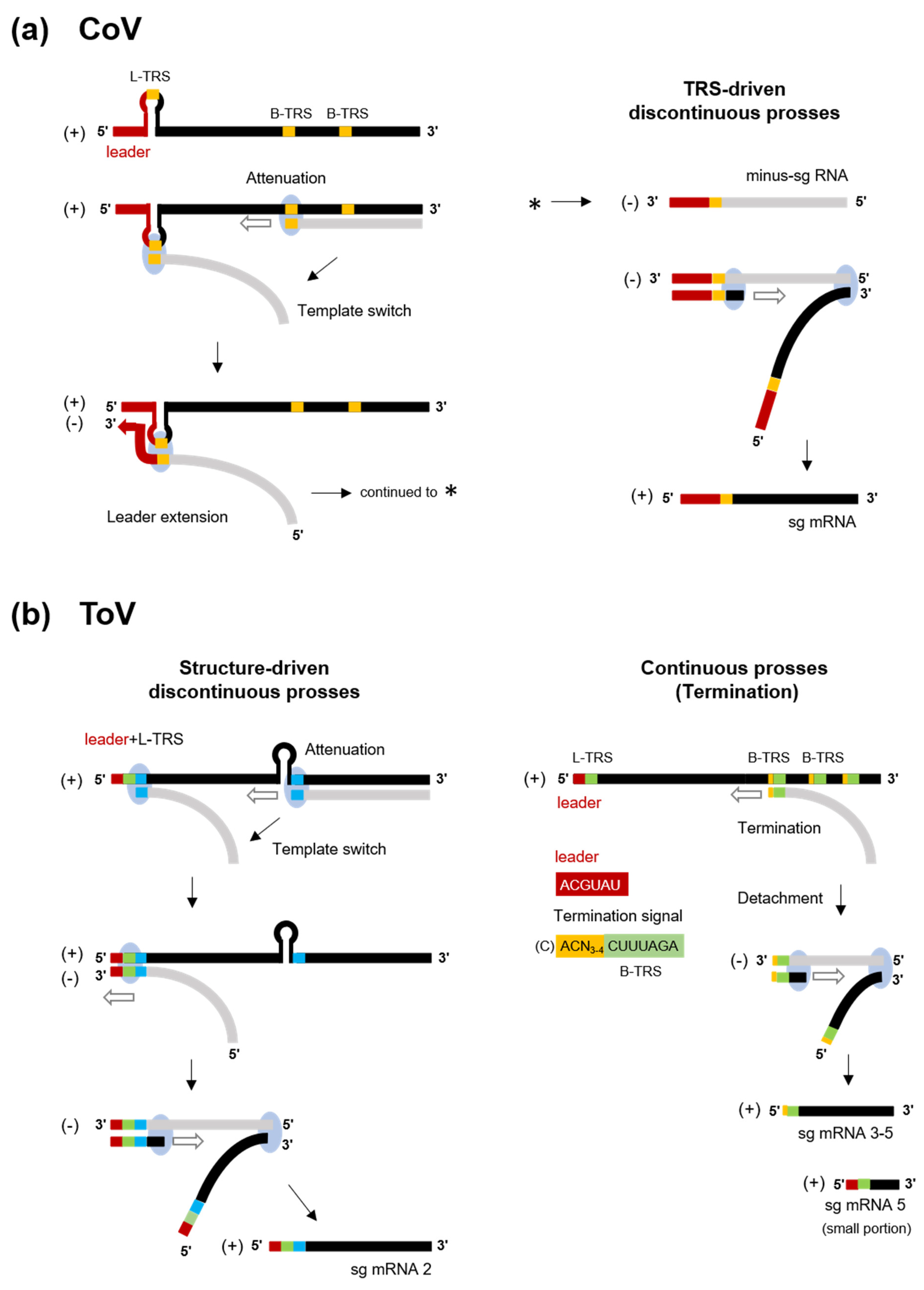 Viruses 13 00435 g004 Viruses 13 00435 g004