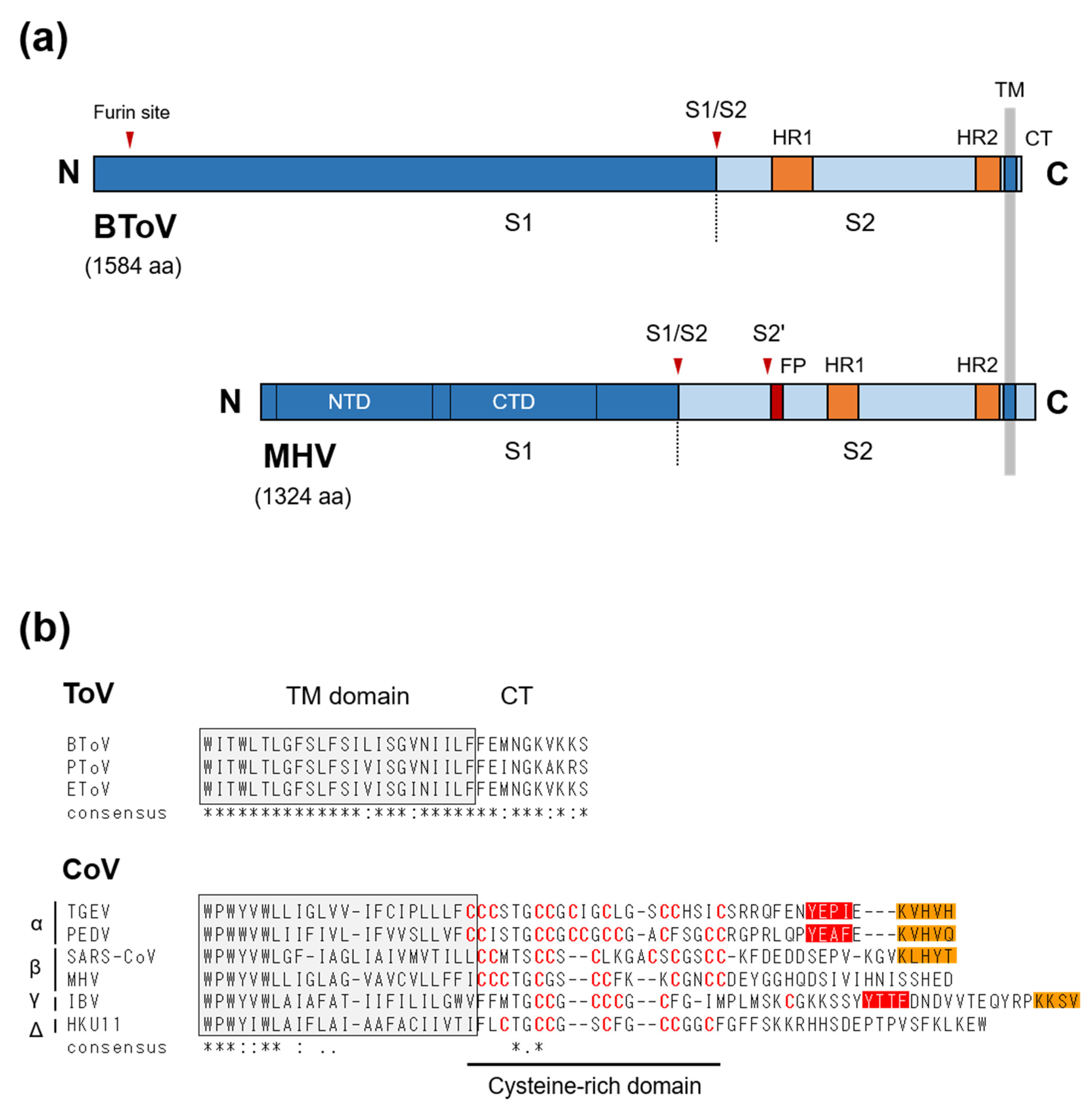 Viruses 13 00435 g005 Viruses 13 00435 g005