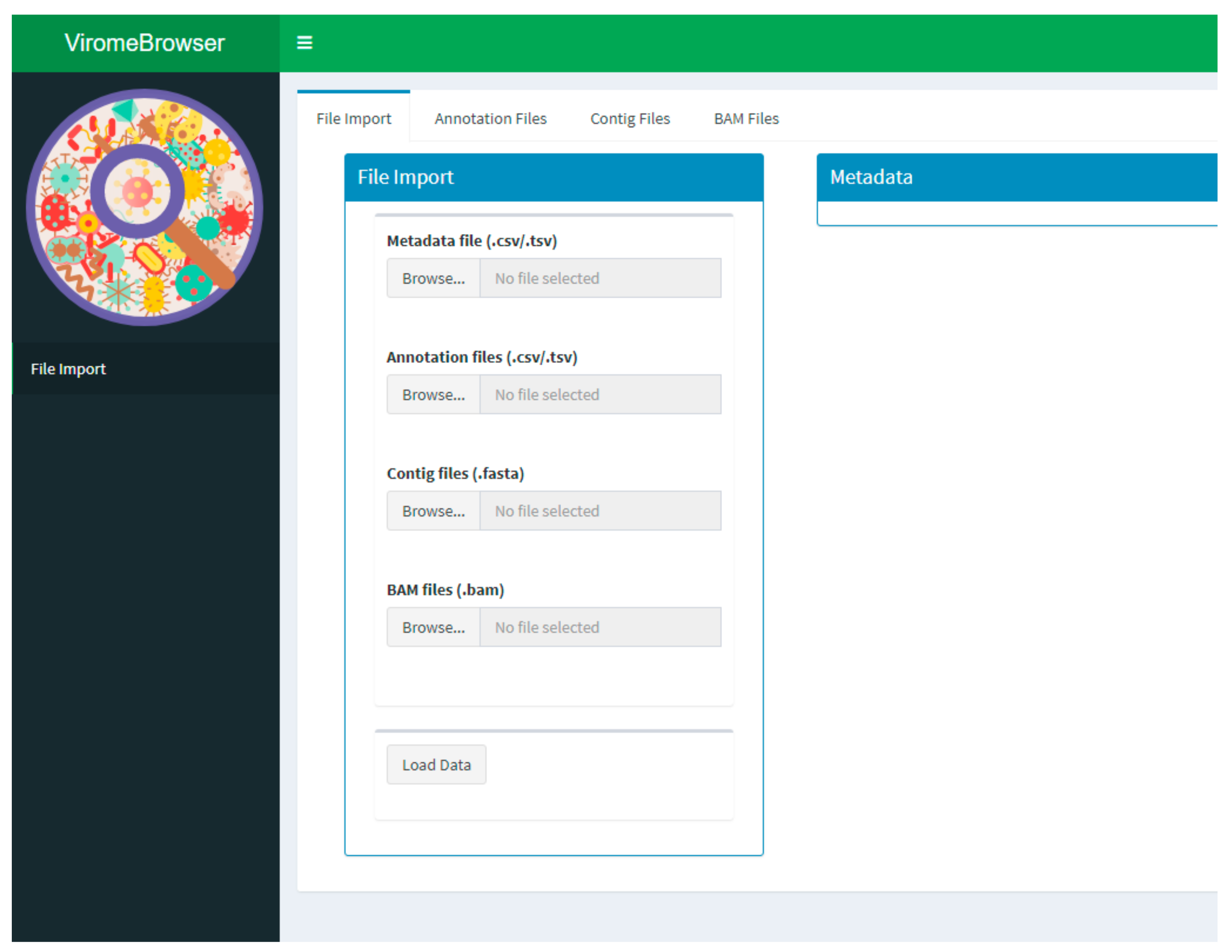 Viruses 13 00437 g001