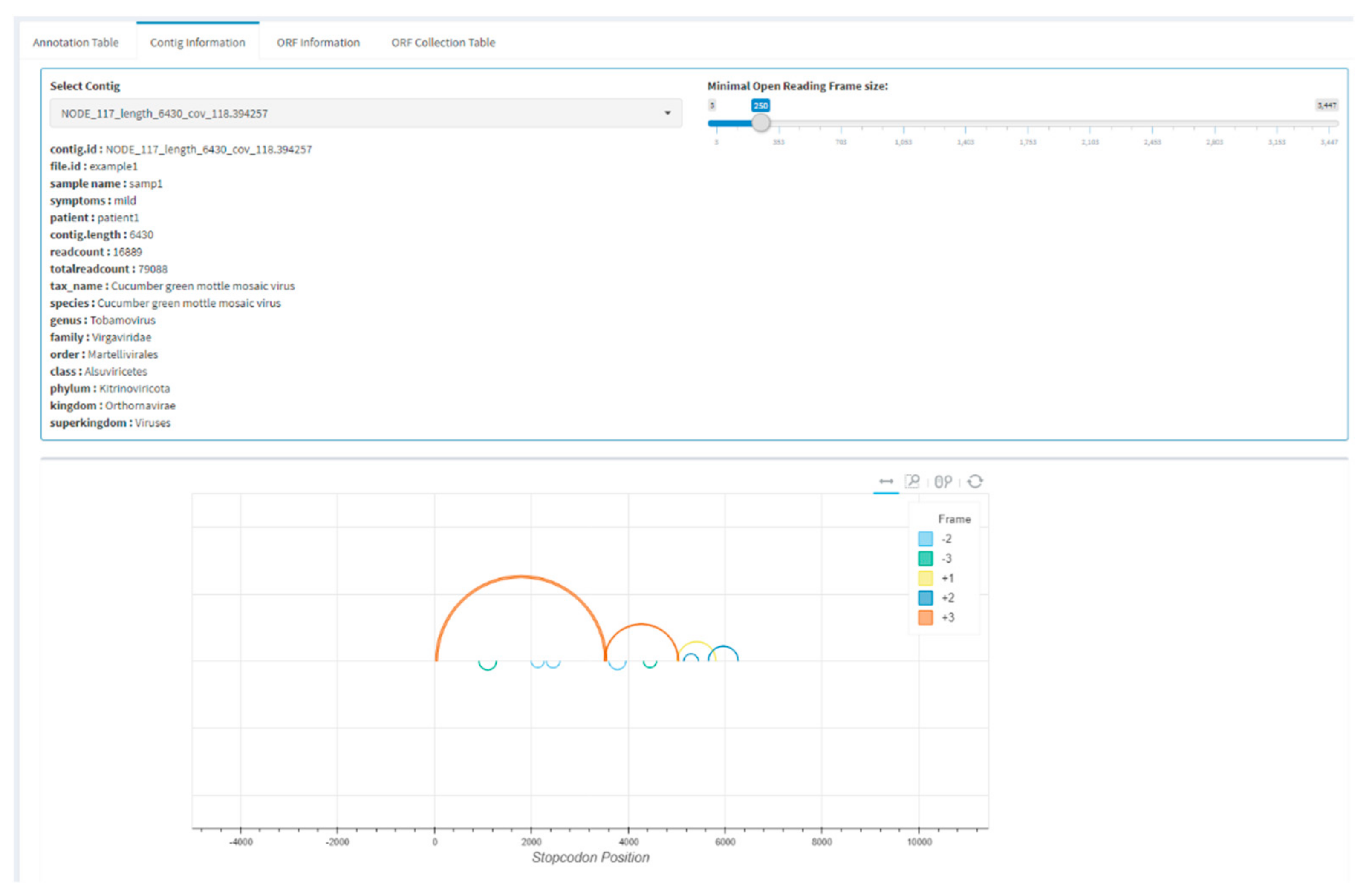 Viruses 13 00437 g003