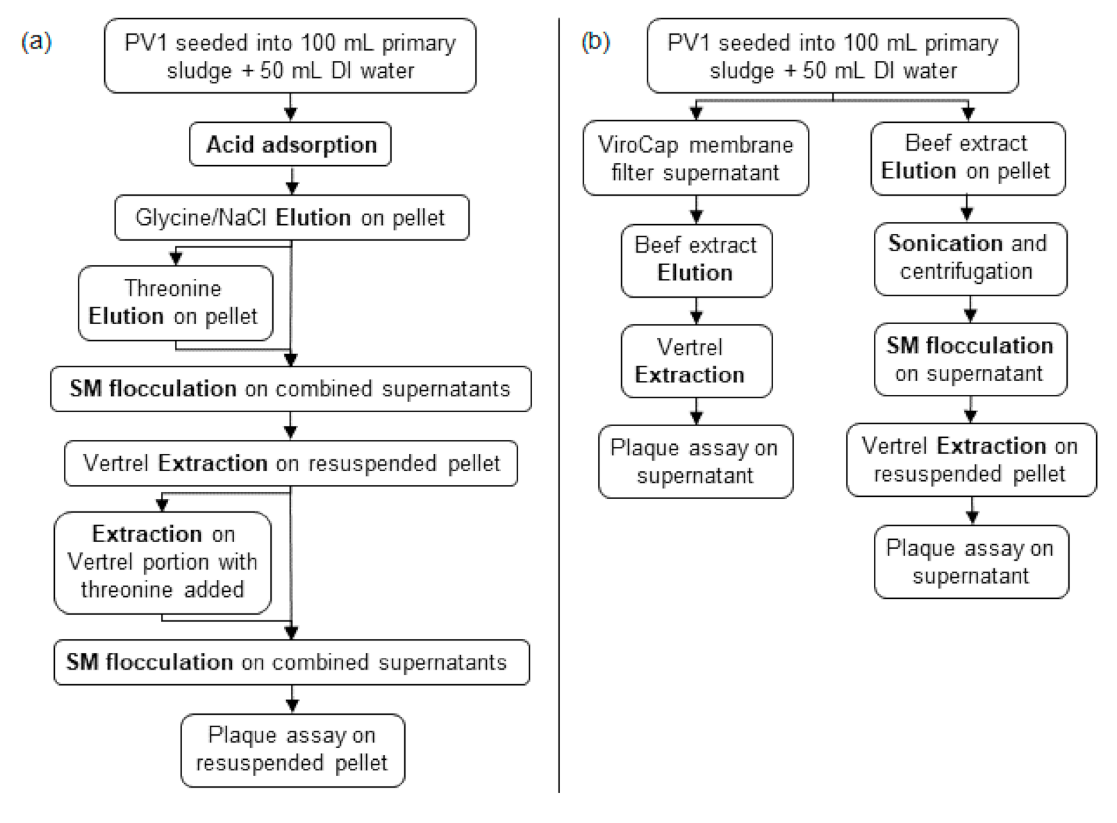 Viruses 13 00440 g001