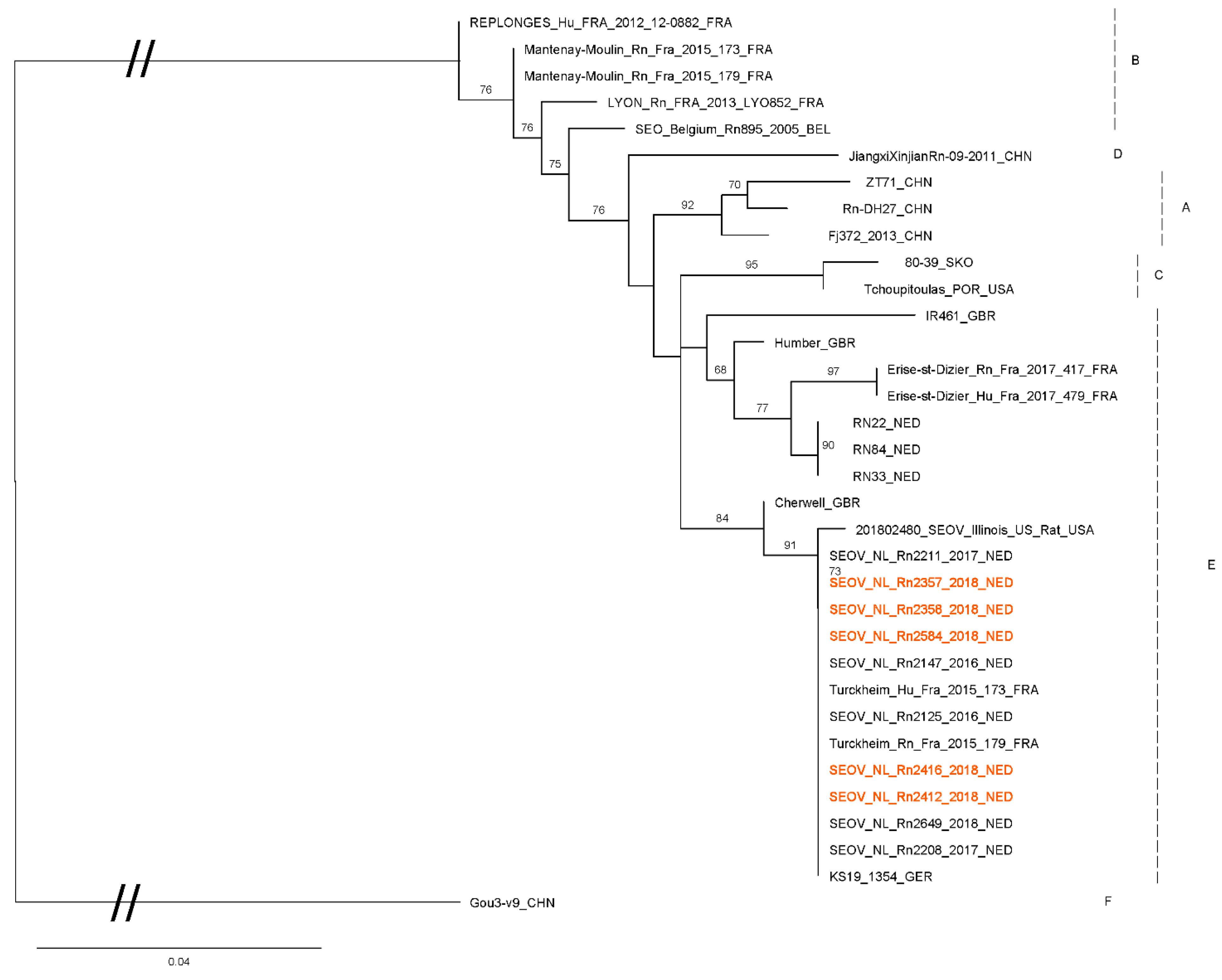 Viruses 13 00443 g002