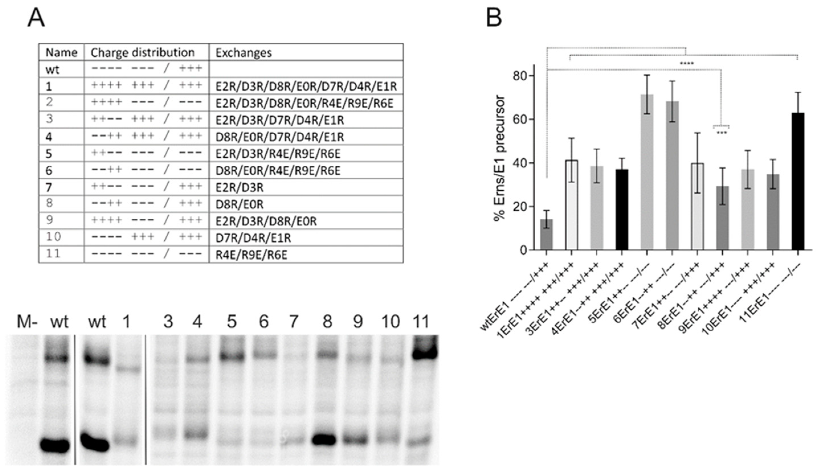 Viruses 13 00444 g002