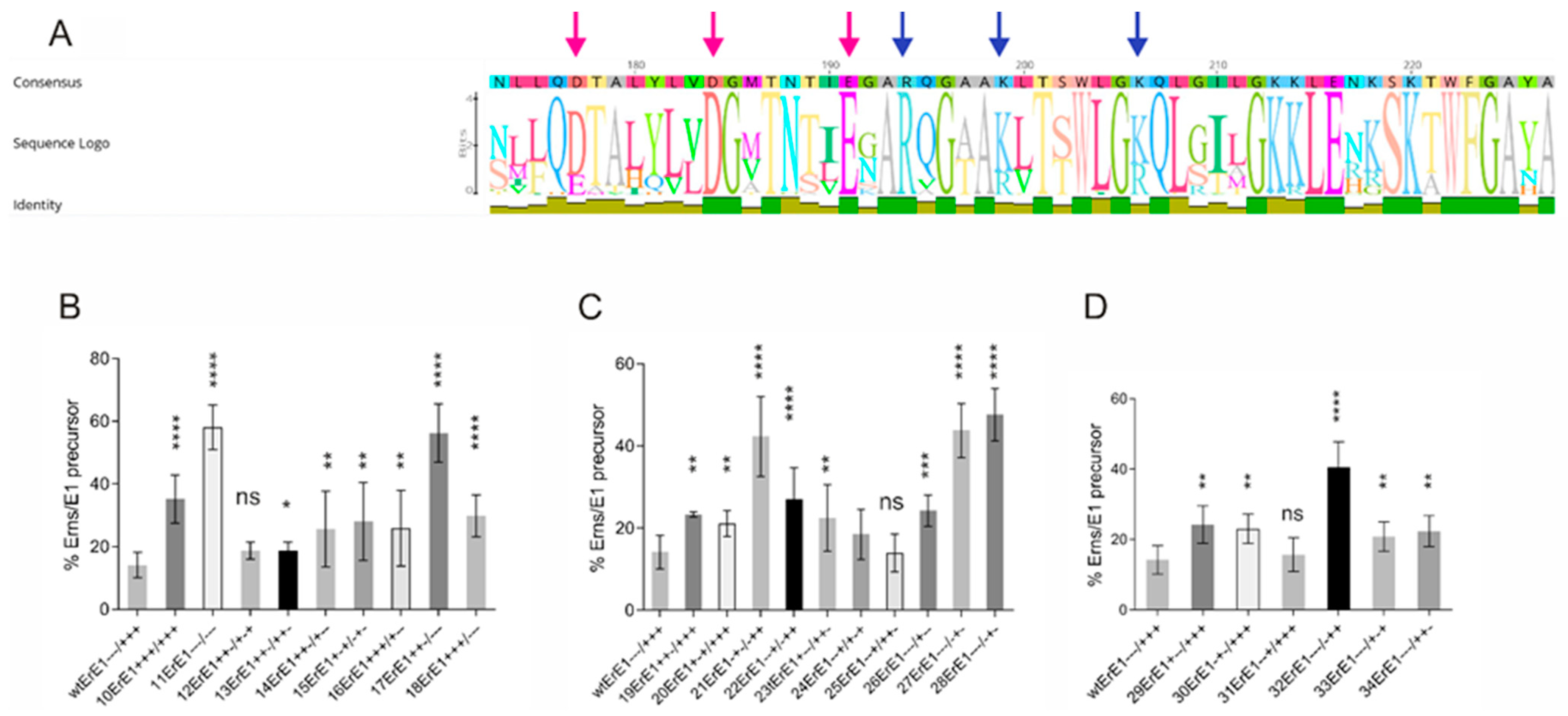 Viruses 13 00444 g003