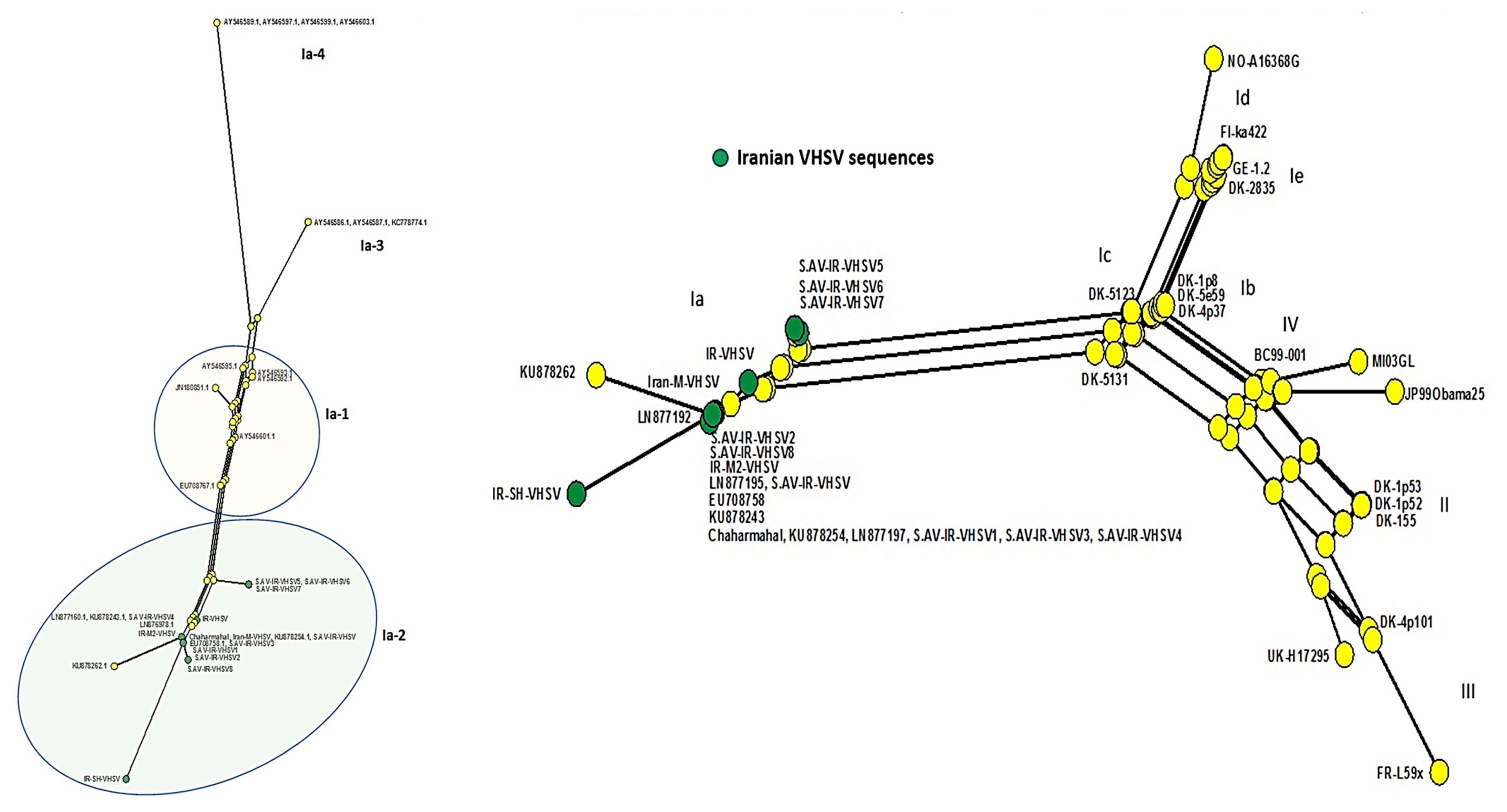 Viruses 13 00448 g003