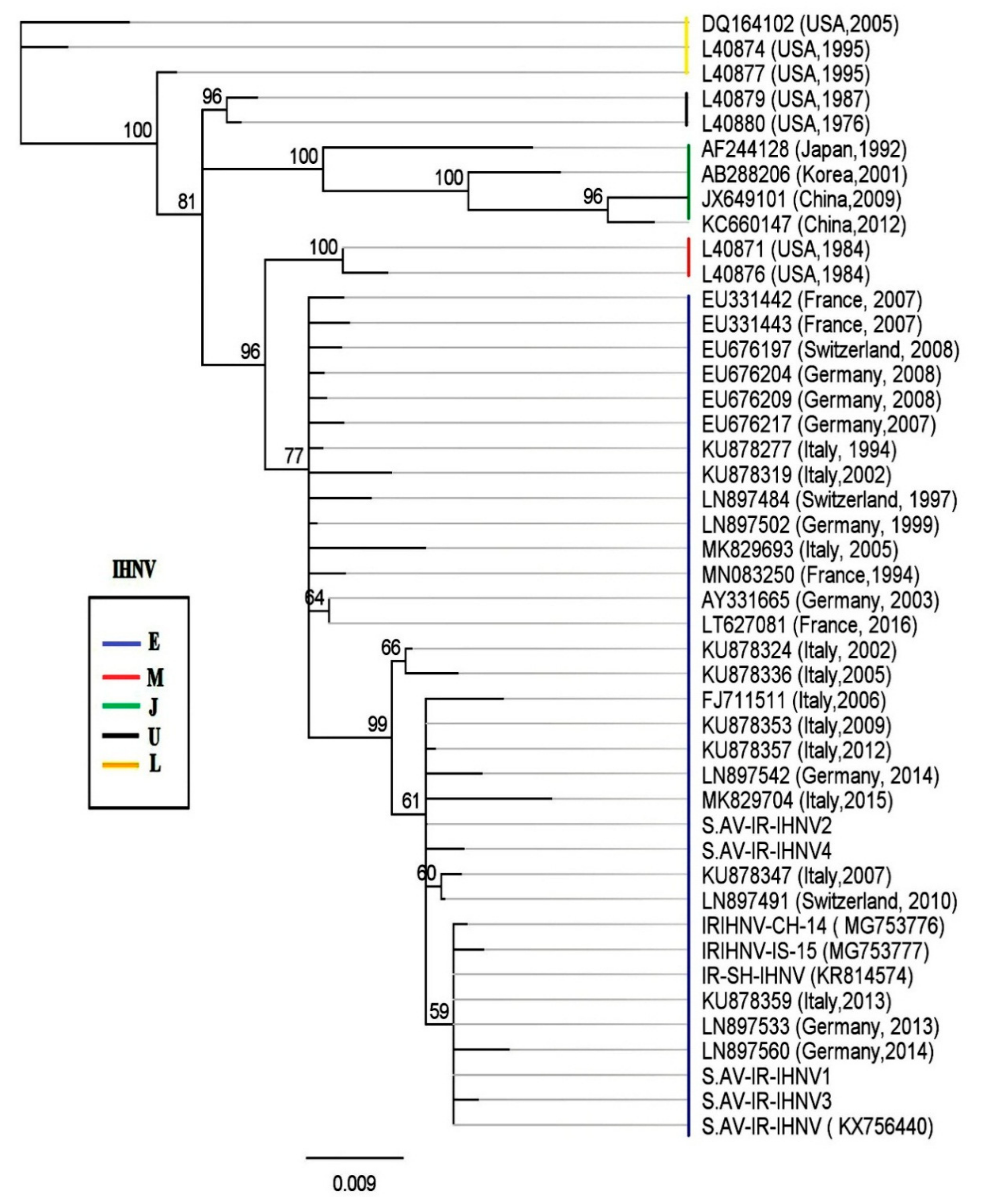 Viruses 13 00448 g004