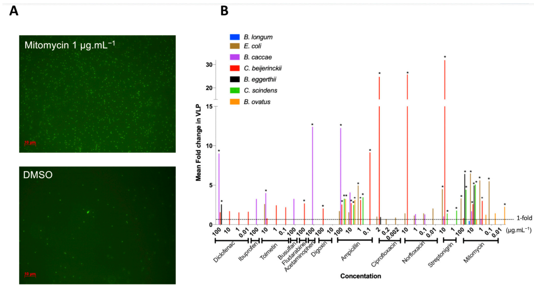 Viruses 13 00455 g002 Viruses 13 00455 g002