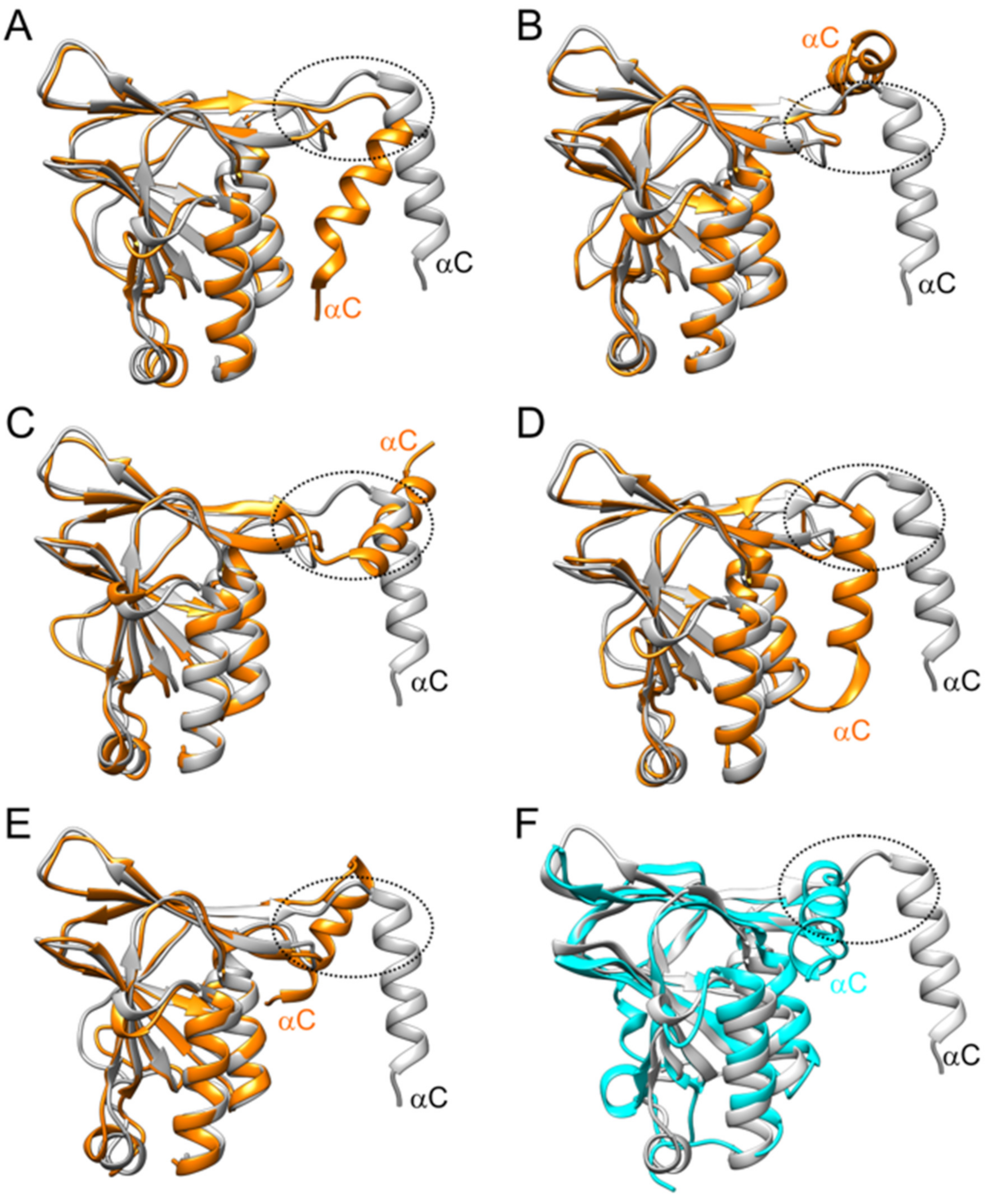 Viruses 13 00462 g006 Viruses 13 00462 g006