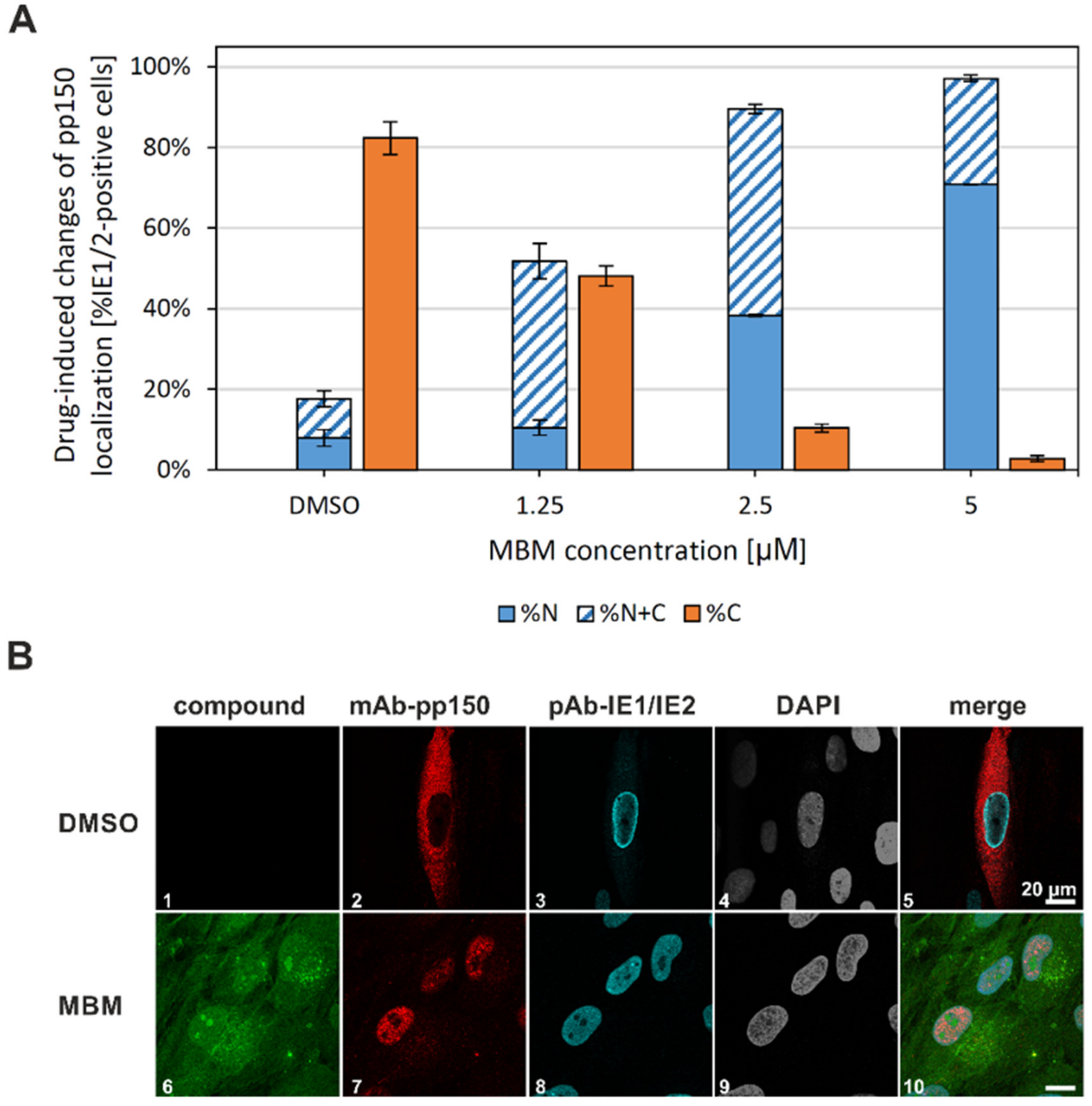 Viruses 13 00462 g009 Viruses 13 00462 g009