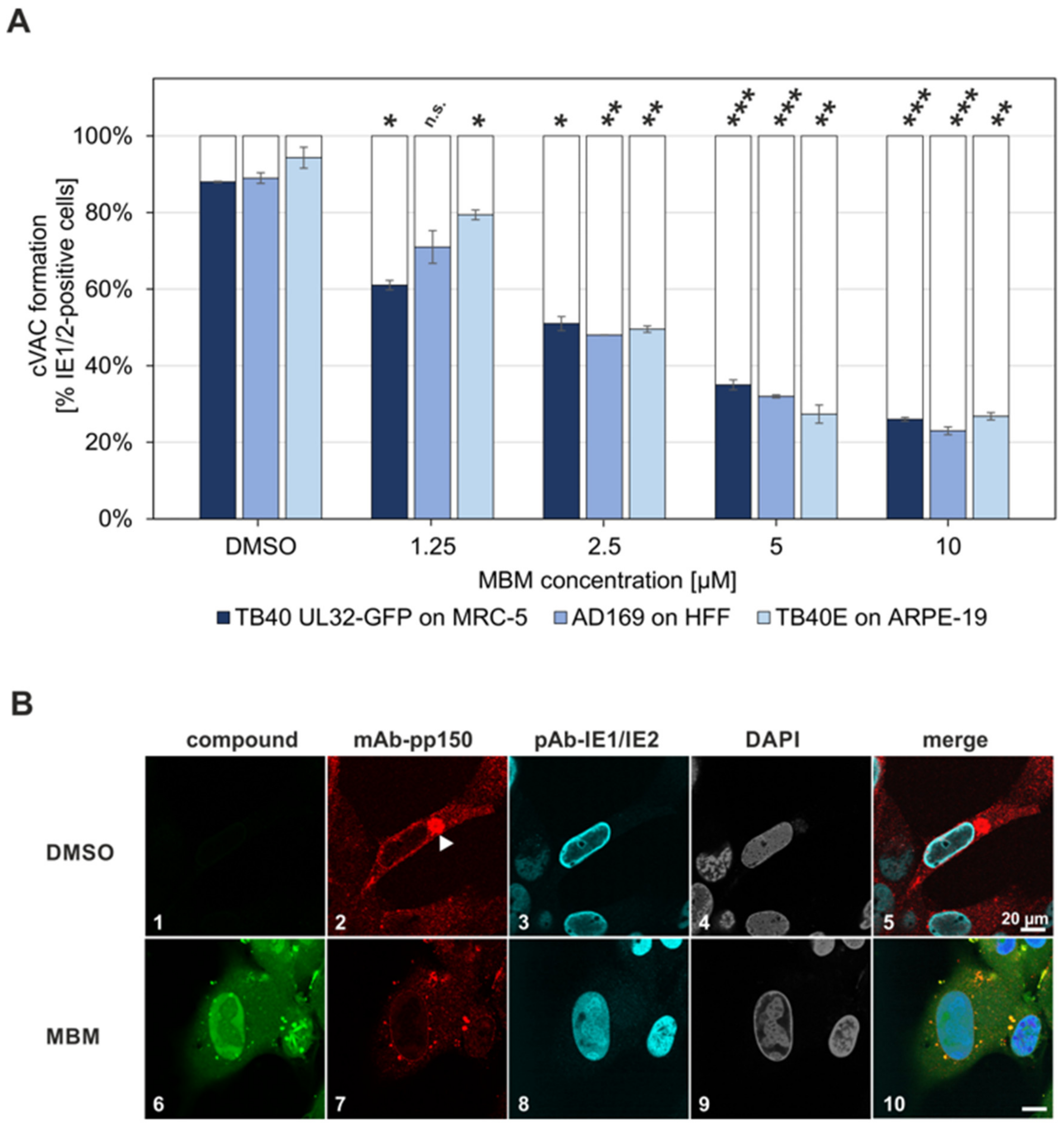 Viruses 13 00462 g010 Viruses 13 00462 g010