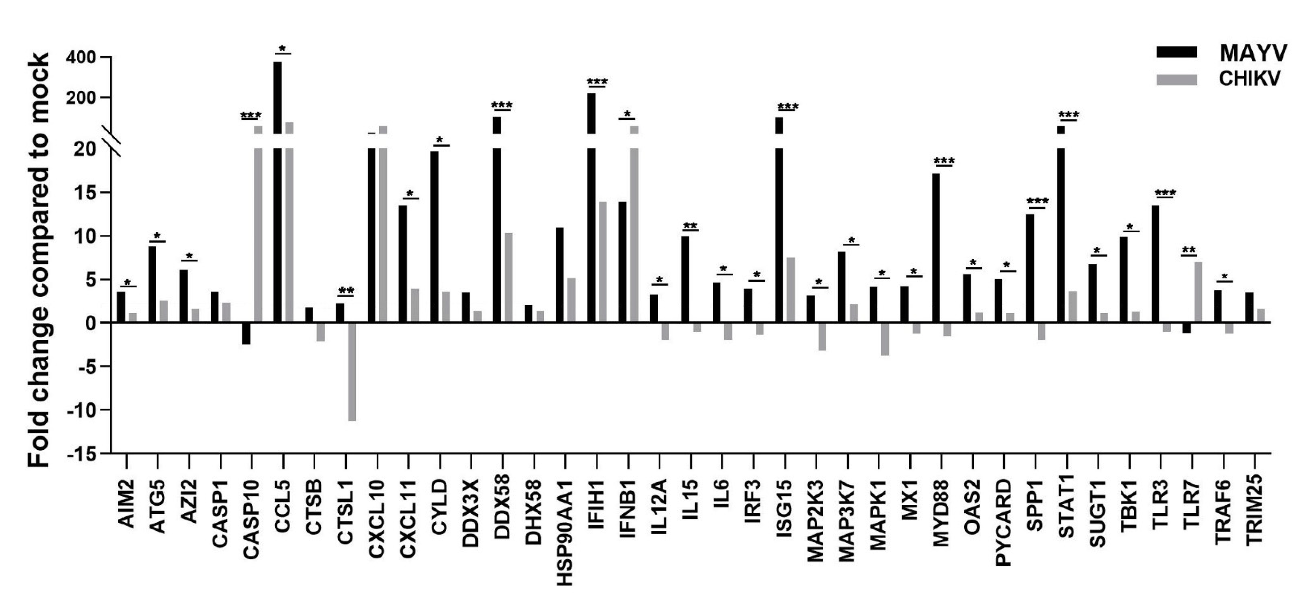 Viruses 13 00465 g003 Viruses 13 00465 g003