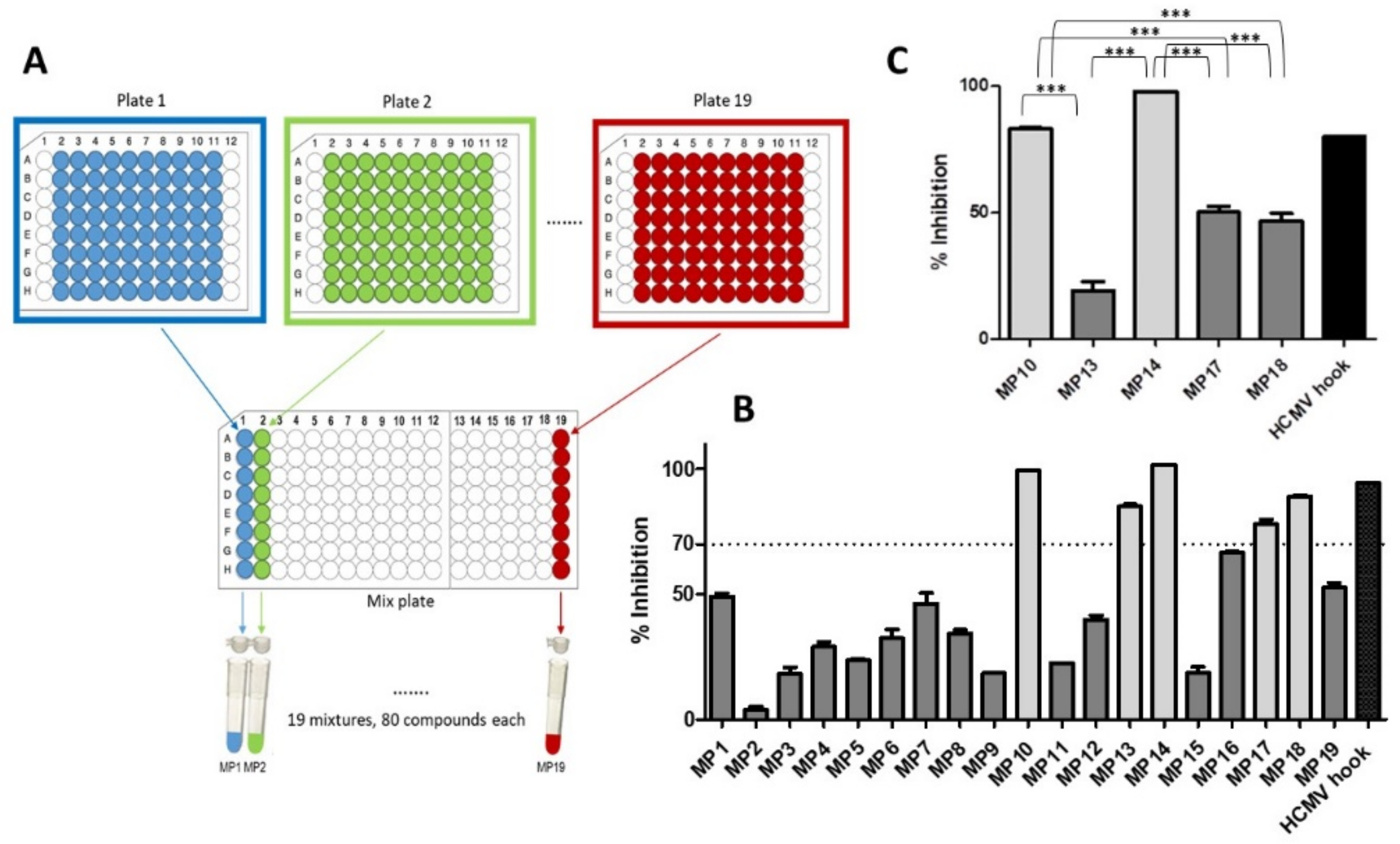 Viruses 13 00471 g001